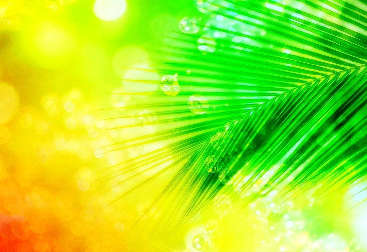 1200x825 Wonderful Abstract, Green, Yellow background photo. Download Best Free pics