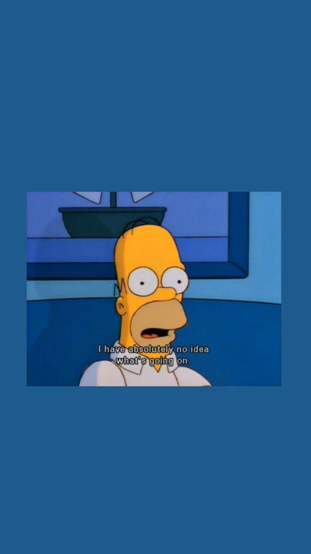 1080x1920 Download Homer Simpson Funny Meme Wallpaper