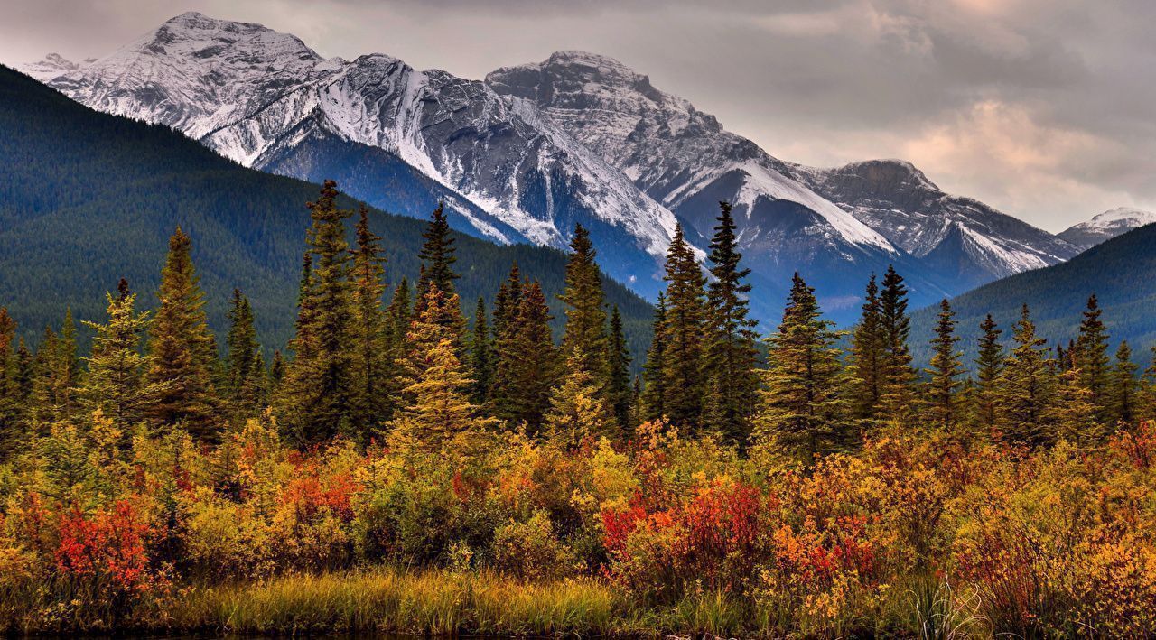 Canada Fall Wallpapers - Top Free Canada Fall Backgrounds - WallpaperAccess