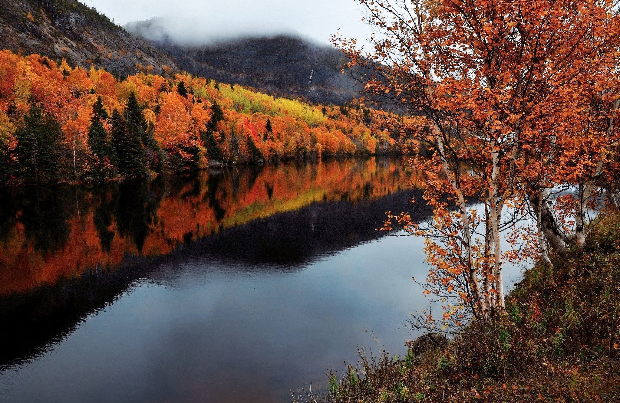 2048x1332 Nature Fall HD Wallpaper