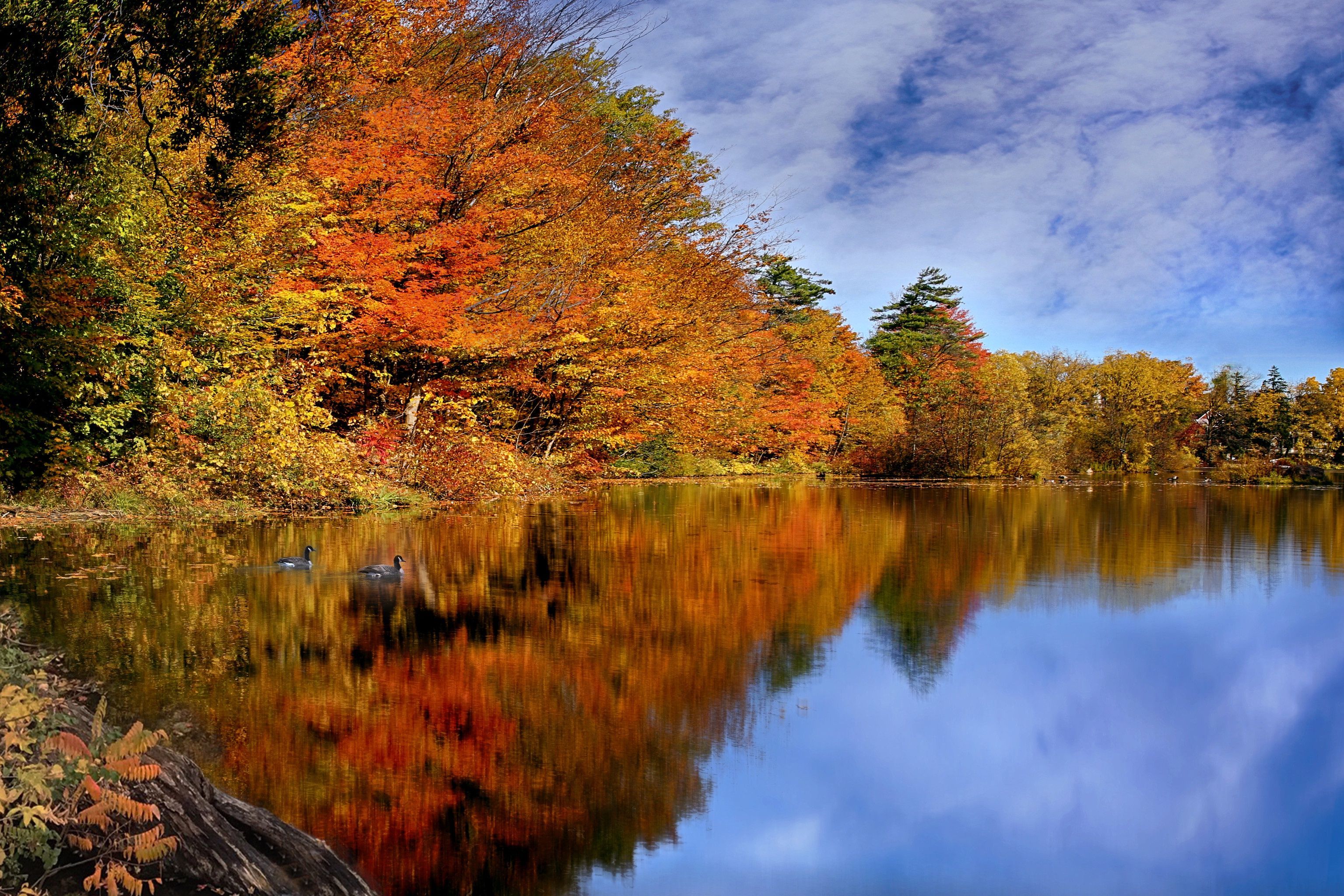 3071x2048 HD desktop wallpaper: Sky, Reflection, Canada, Fall, Earth, River download free picture