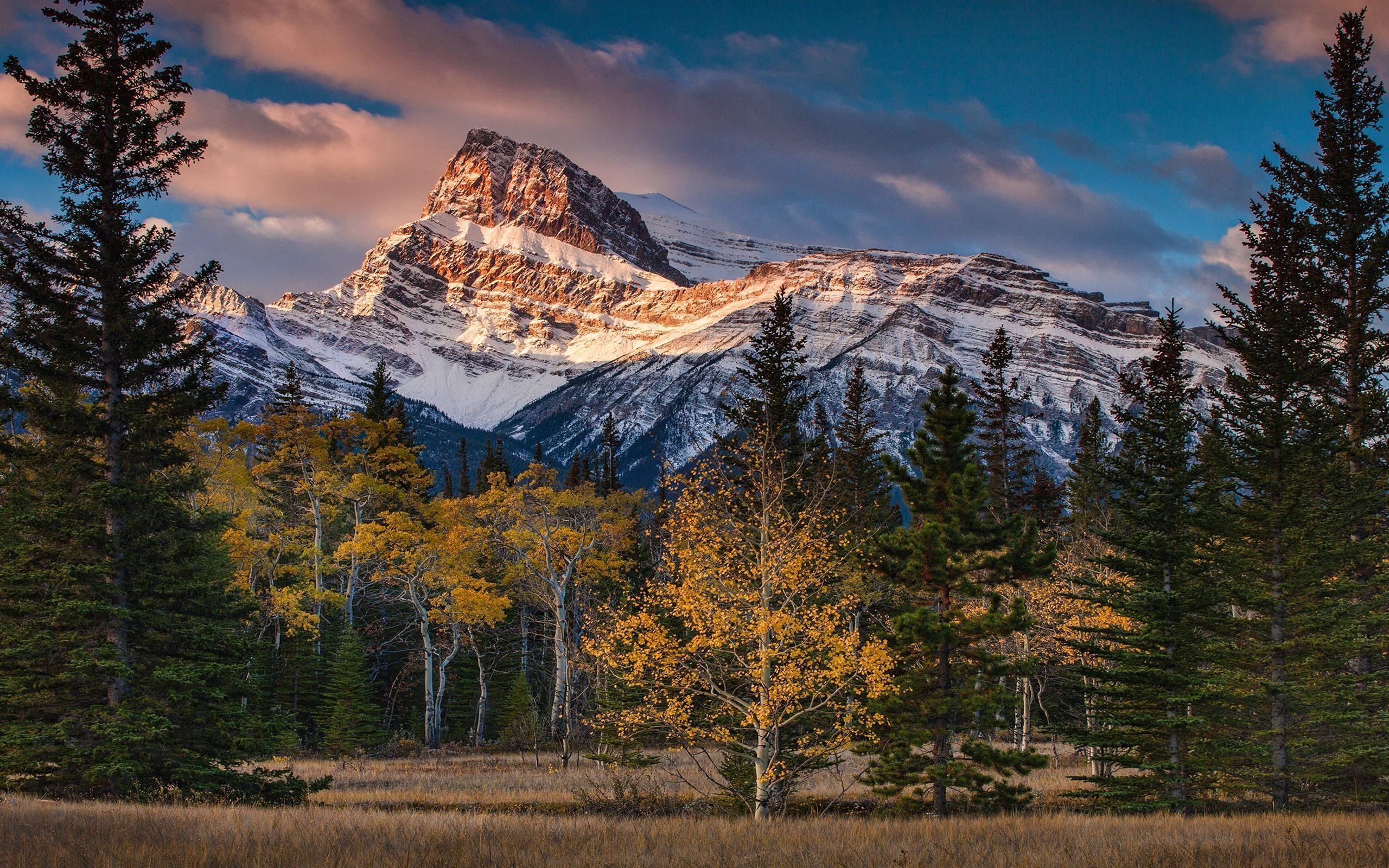 2560x1600 Wallpaper Canada, Albert, mountains, trees, clouds, autumn 2560x1600 HD Picture, Image