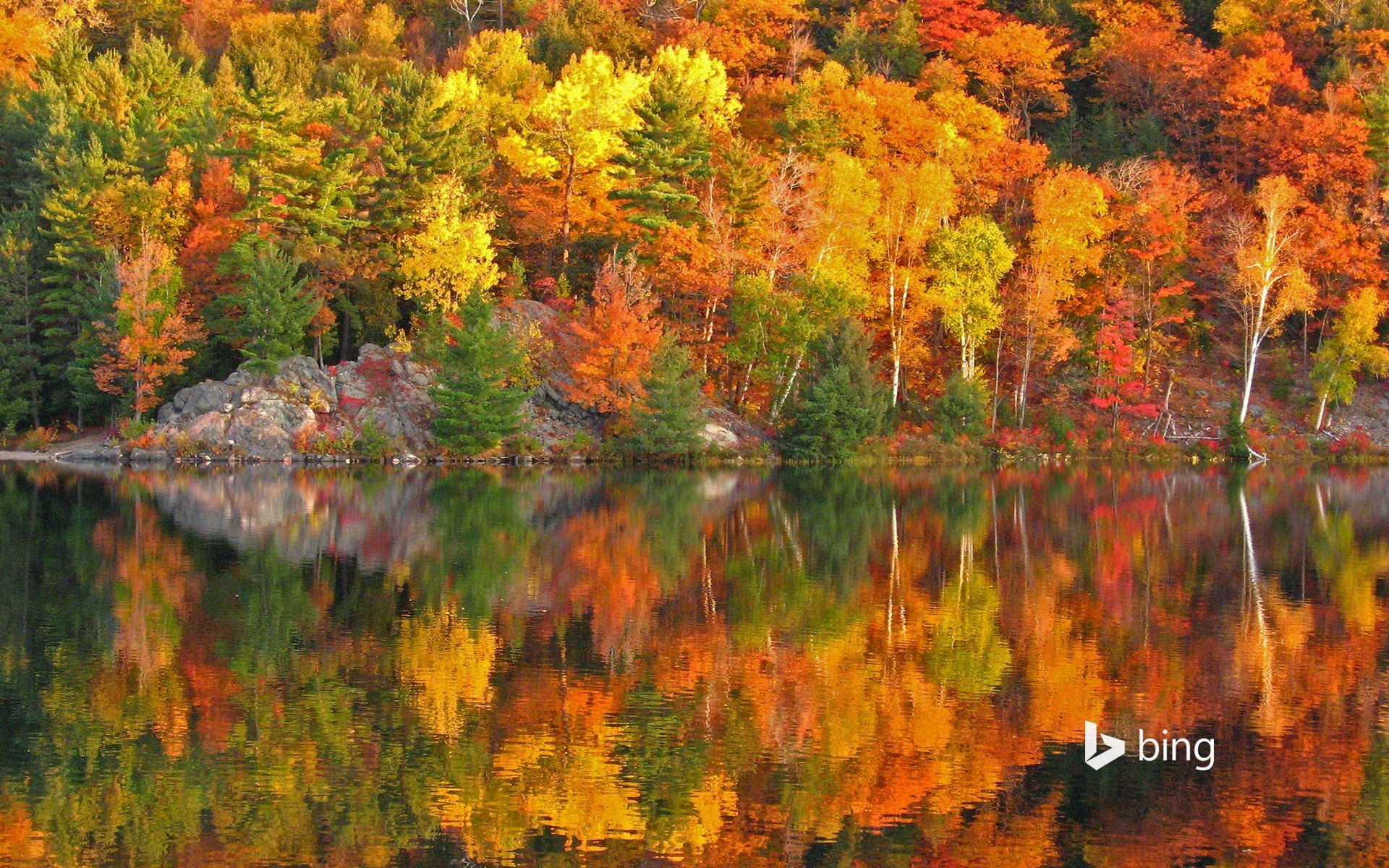 1920x1200 Autumn at George Lake, Ontario, Canada