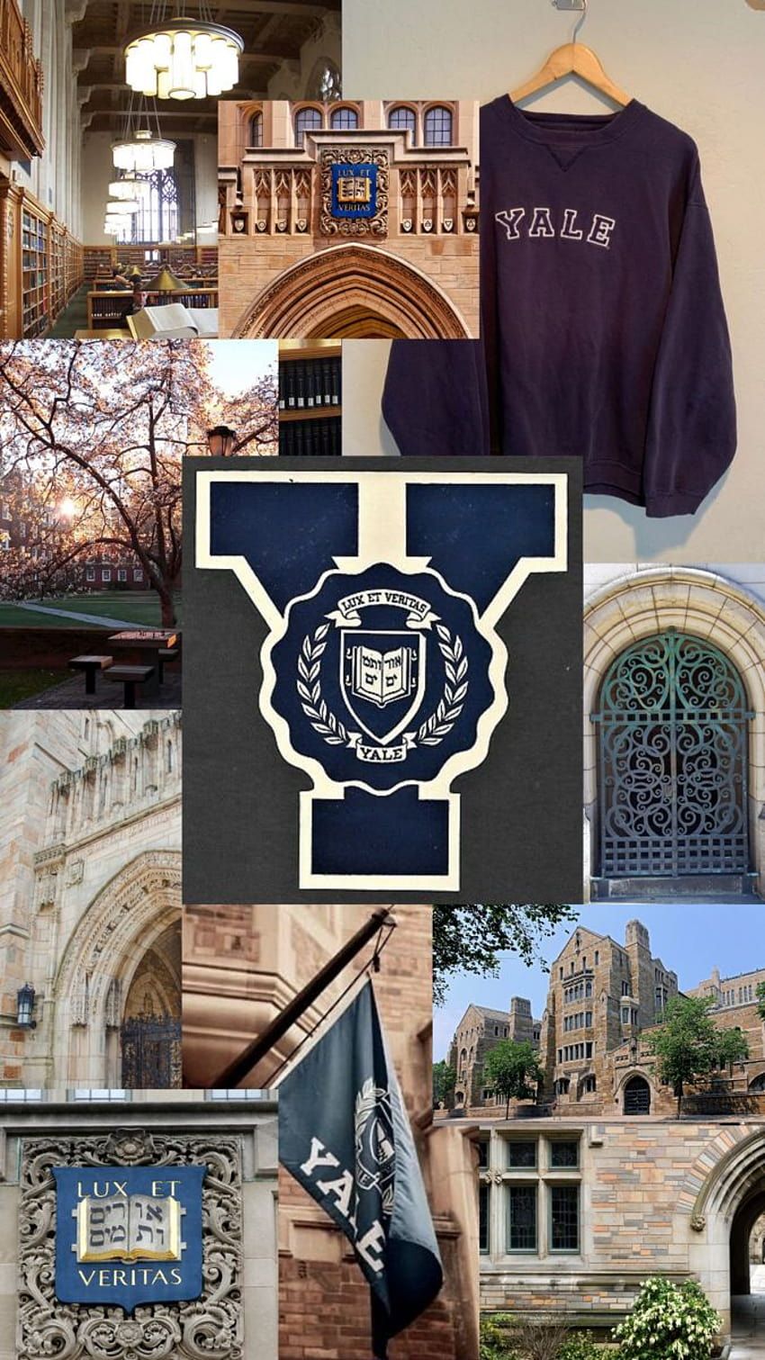 850x1511 Ivy league HD wallpaper