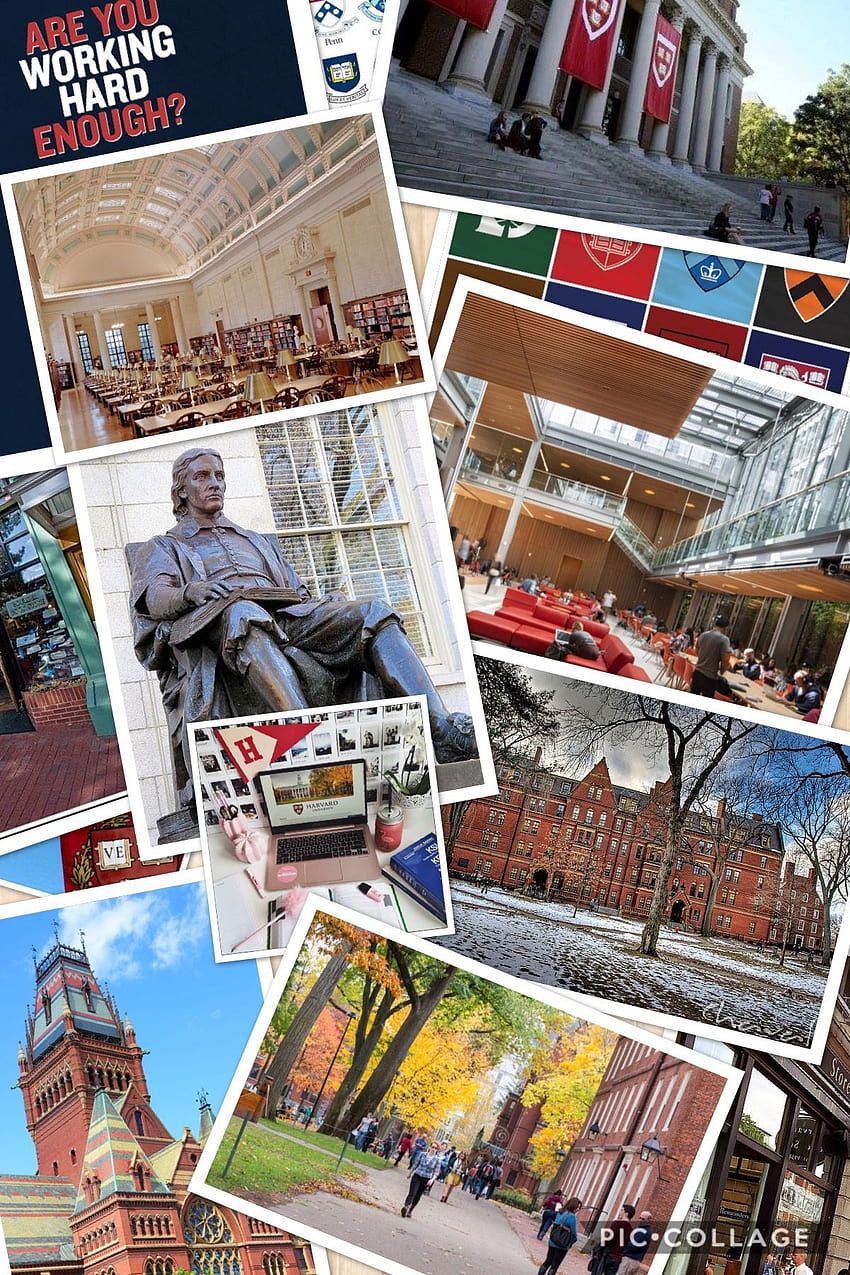 850x1275 Harvard ivy league HD wallpaper
