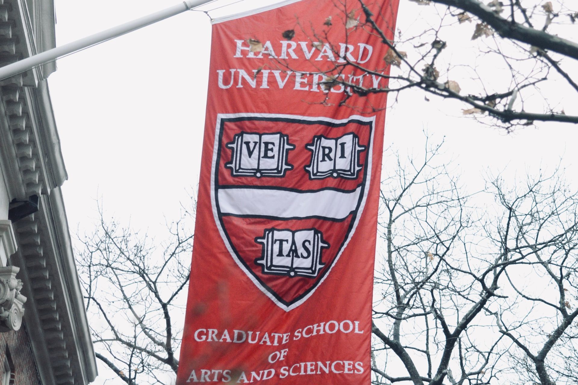 1920x1280 The Ivy League Schools, Ranked