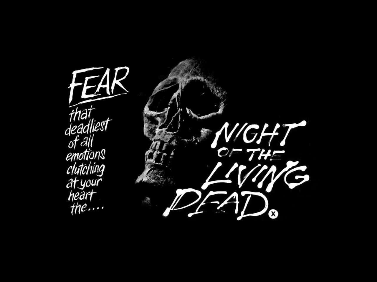 1280x960 Download Night Of The Living Dead wallpaper for mobile phone, free Night Of The Living Dead HD picture