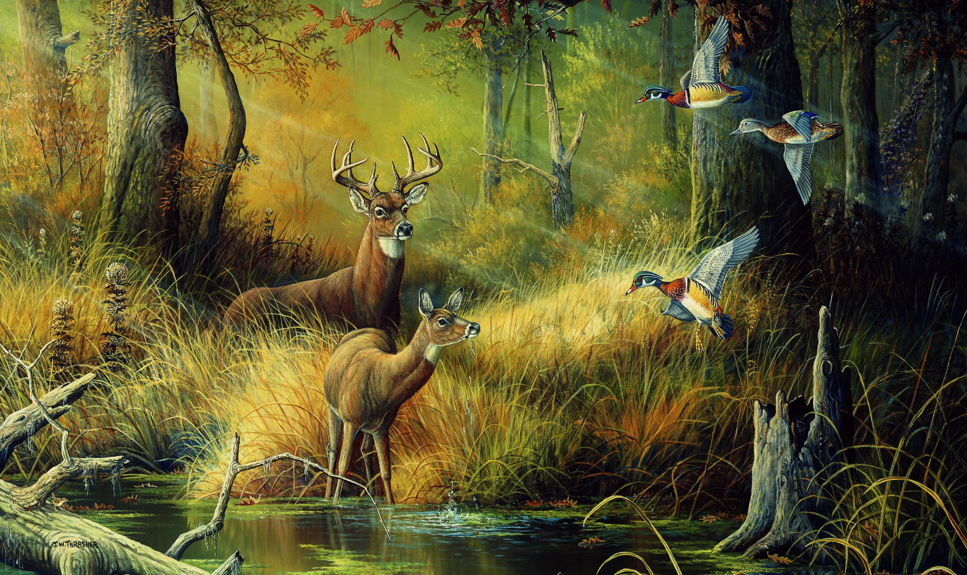 Deer lands