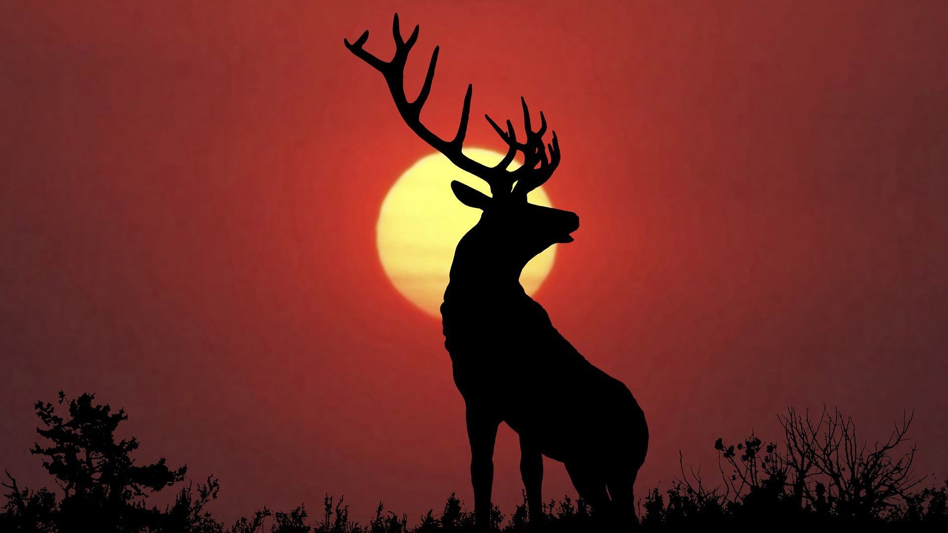 1920x1080 Deer Wallpaper