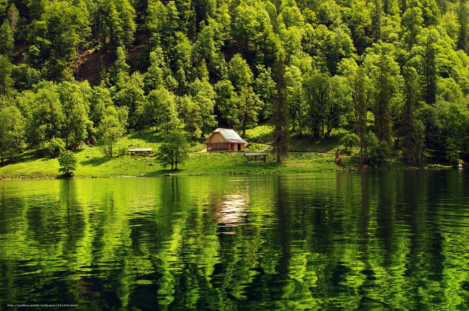 1600x1060 Free download wallpaper forest lake cabin landscape free desktop wallpaper [1600x1060] for your Desktop, Mobile & Tablet. Explore Lake Cabin Wallpaper. Lake George Wallpaper, Lake Wallpaper, Cabin Wallpaper