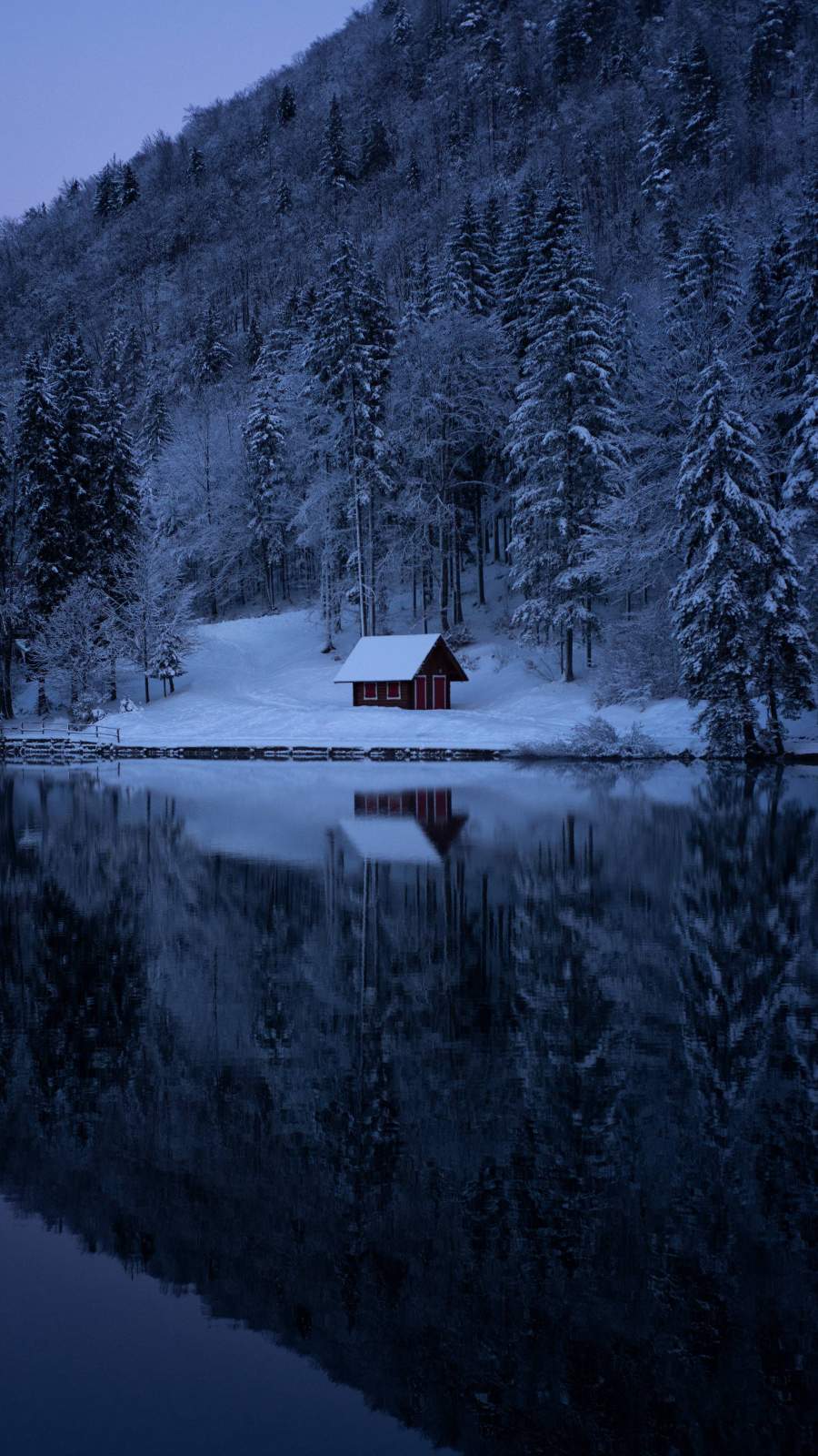 900x1600 Lake Forest Snow Cabin iPhone Wallpaper Wallpaper : iPhone Wallpaper