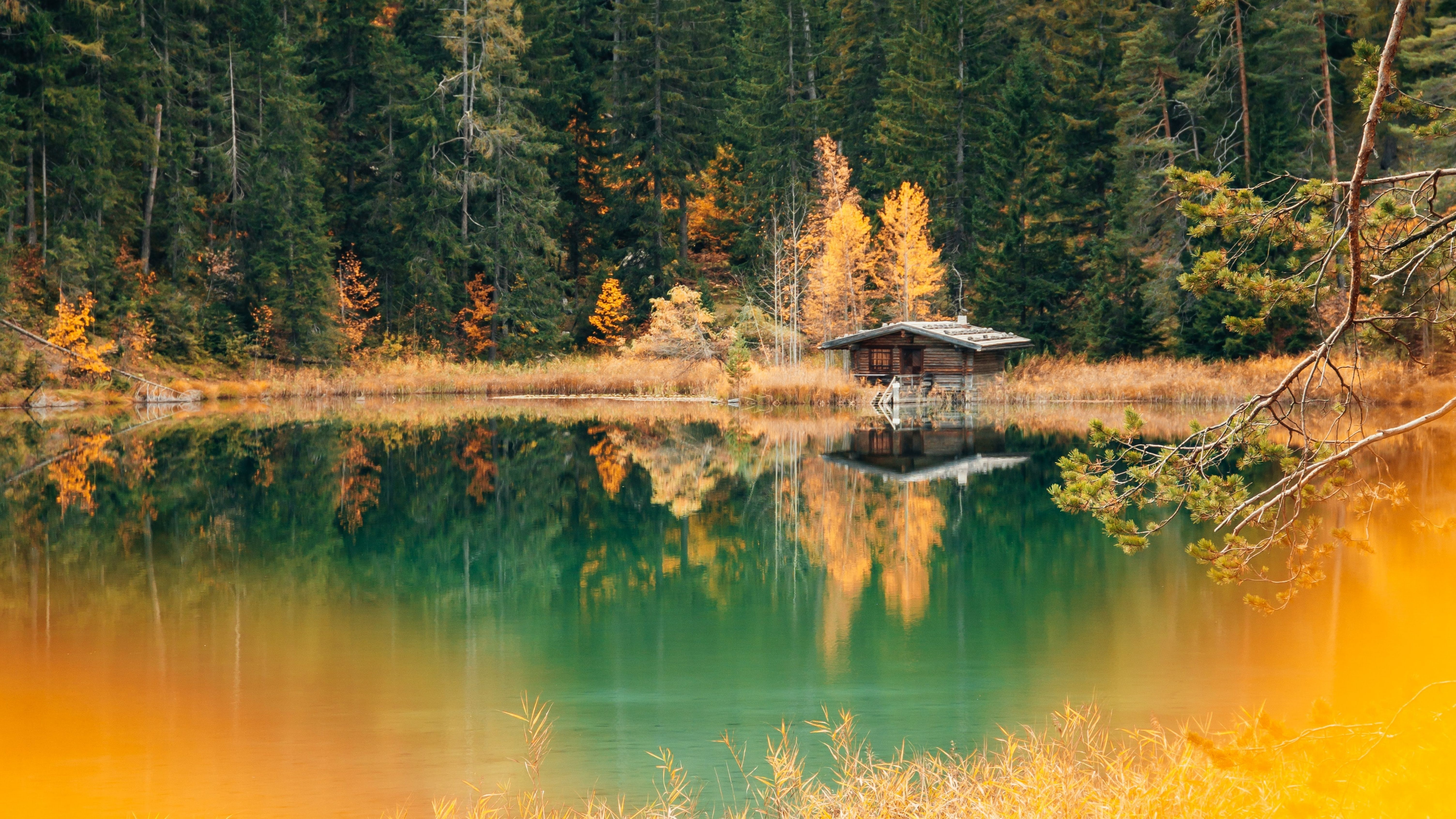 6016x3384 Lake house Wallpaper 4K, Forest, Green Trees, Alpine trees