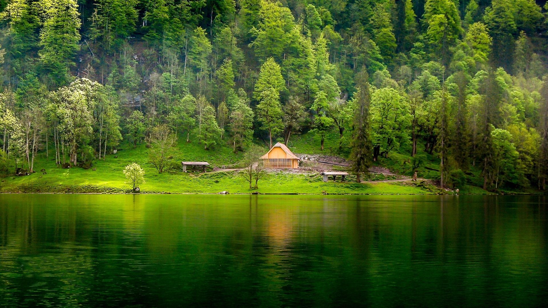 1920x1080 hills, forest, lake, cabin, mist, water, nature, green, trees, landscape, grass Gallery HD Wallpaper