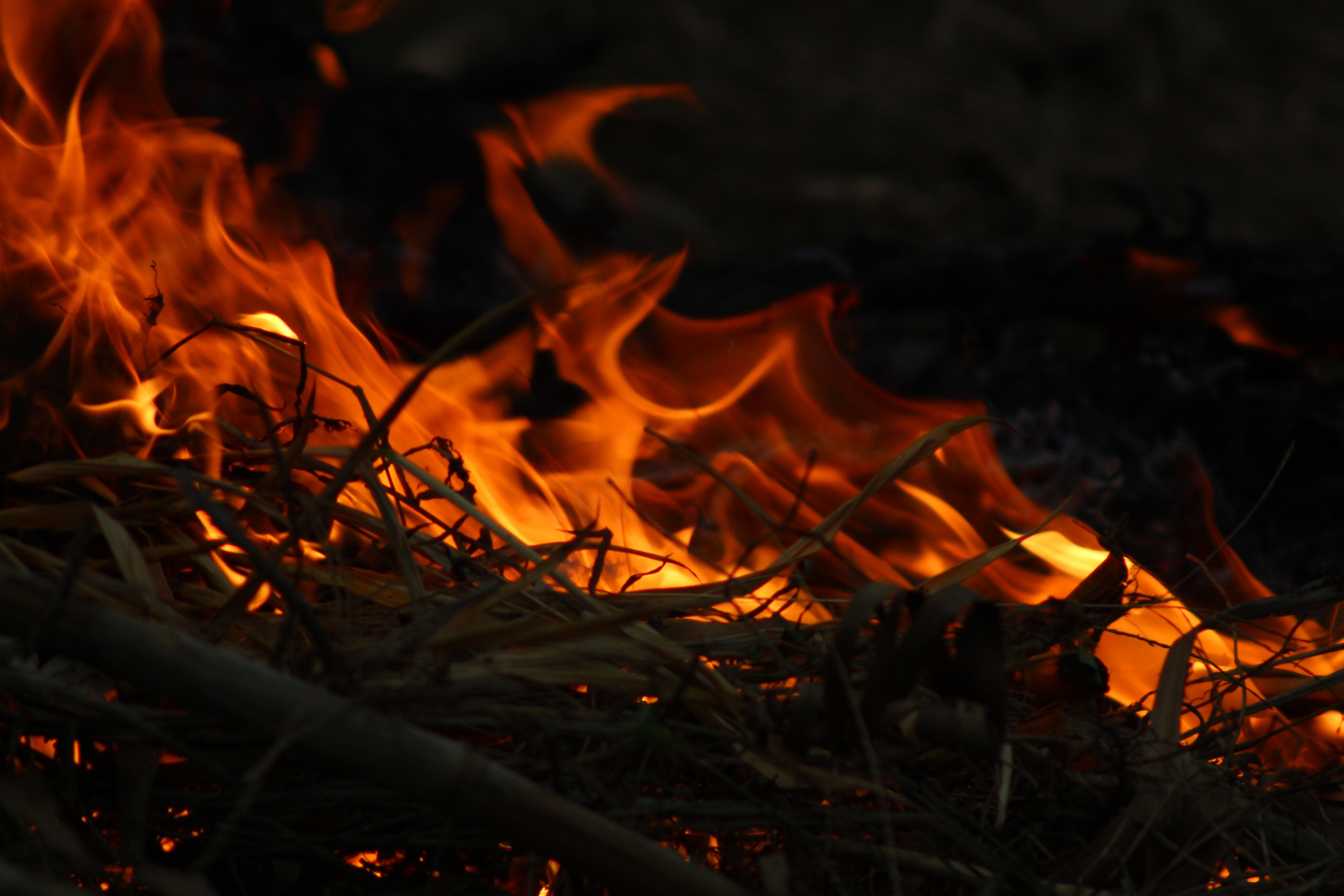 5184x3456 Yellow Flame · Free