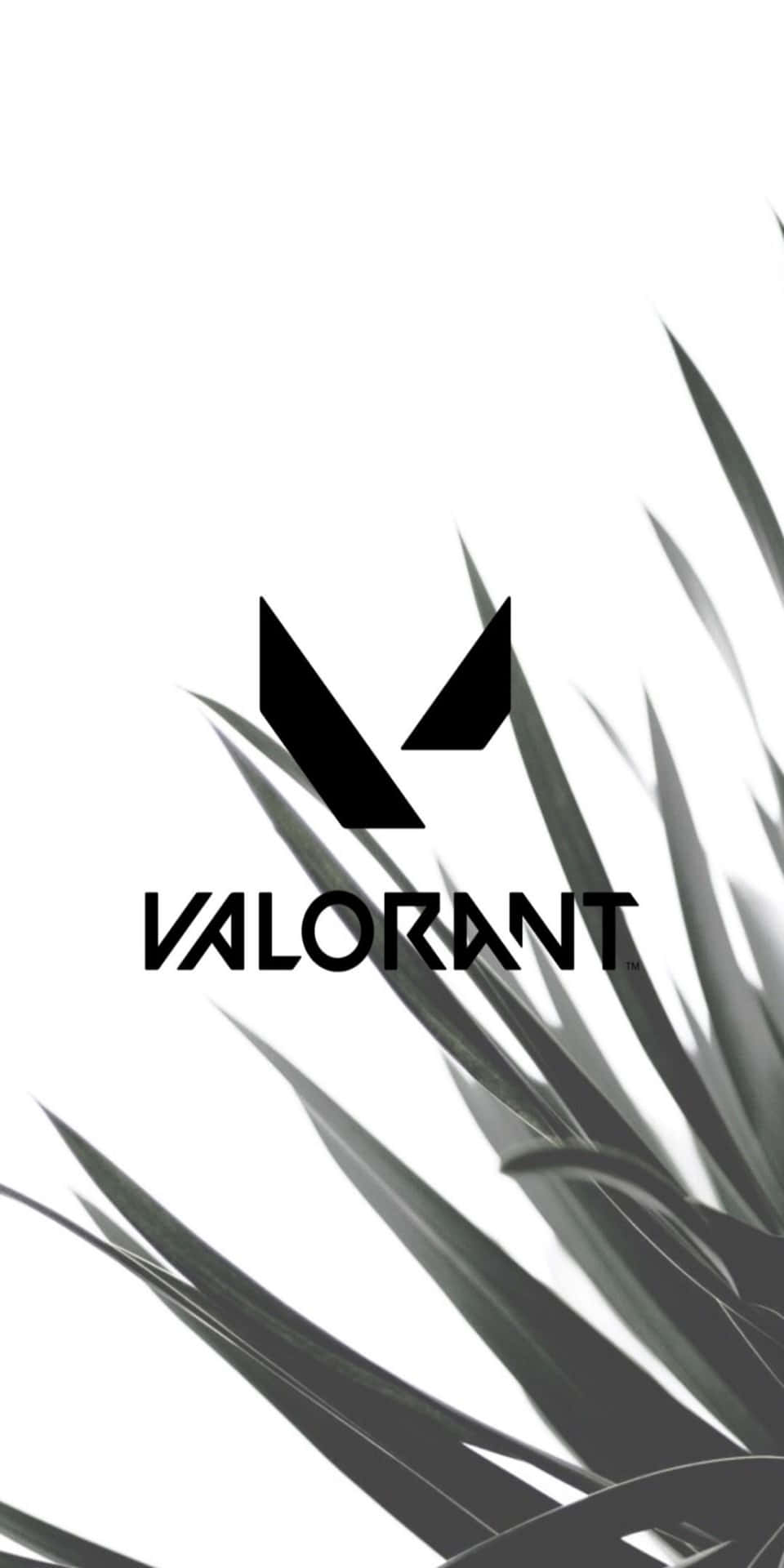 960x1920 Pixel 3 Valorant Background