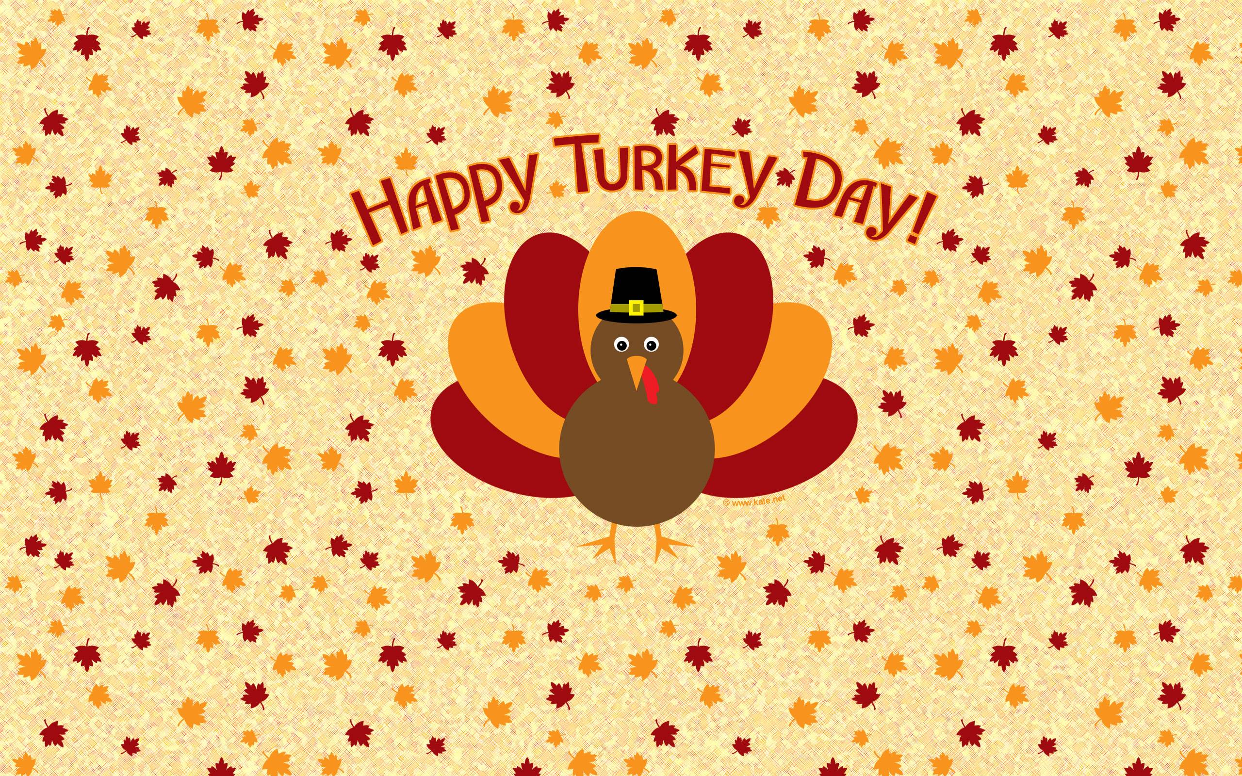 Thanksgiving Turkey Desktop Wallpapers  Top Free Thanksgiving Turkey  Desktop Backgrounds  WallpaperAccess
