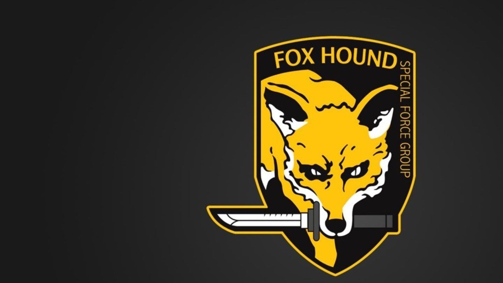 Foxhound Wallpapers - Top Free Foxhound Backgrounds - WallpaperAccess