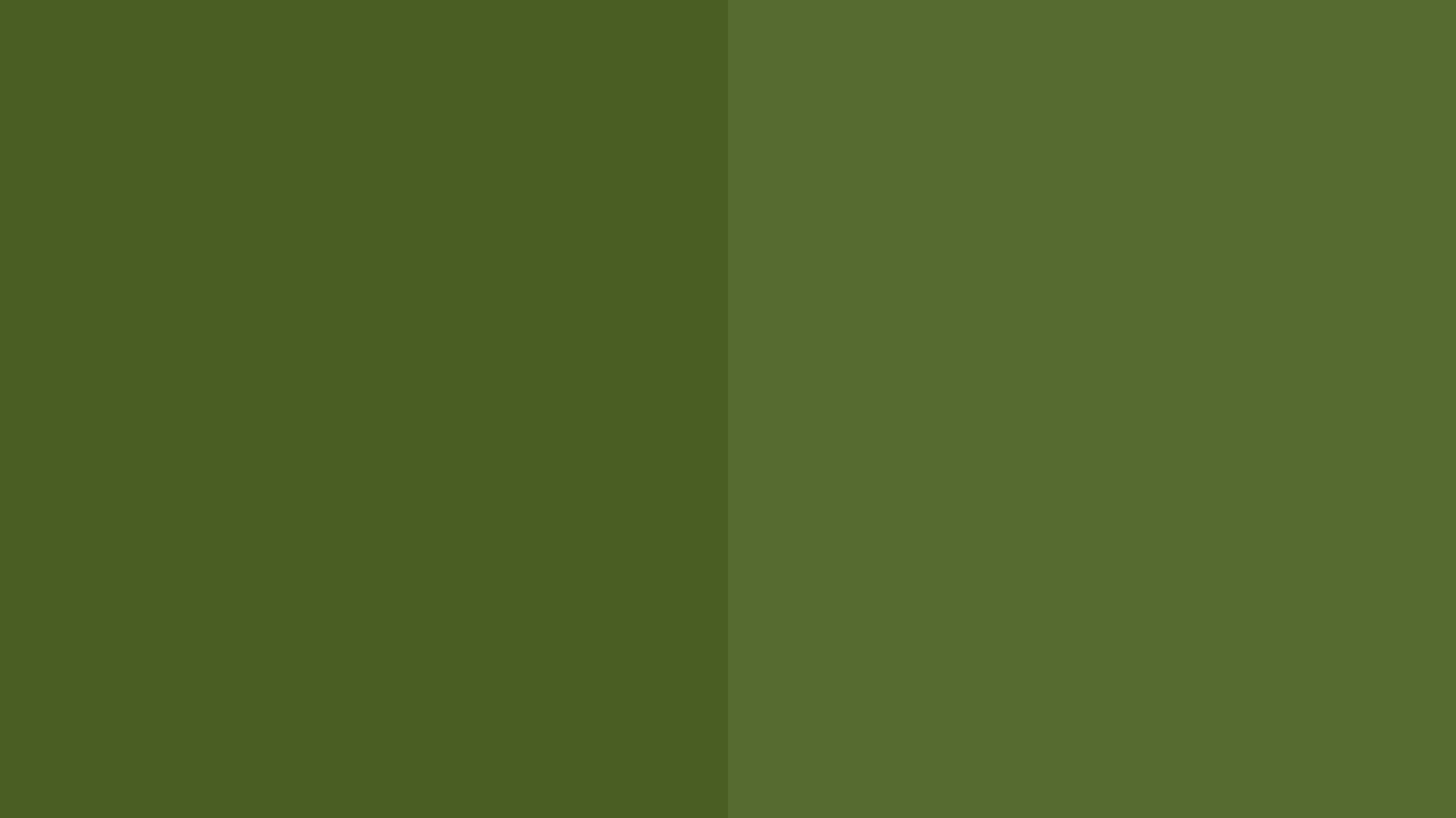 2560x1440 Free download Free 2560x1440 resolution Dark Moss Green and Dark Olive Green solid [2560x1440] for your Desktop, Mobile & Tablet. Explore Olive Green Wallpaper. Background Green, Olive Green Desktop
