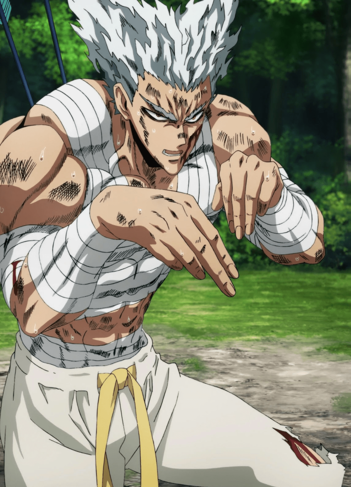 1145x1587 Garou. One Punch Man