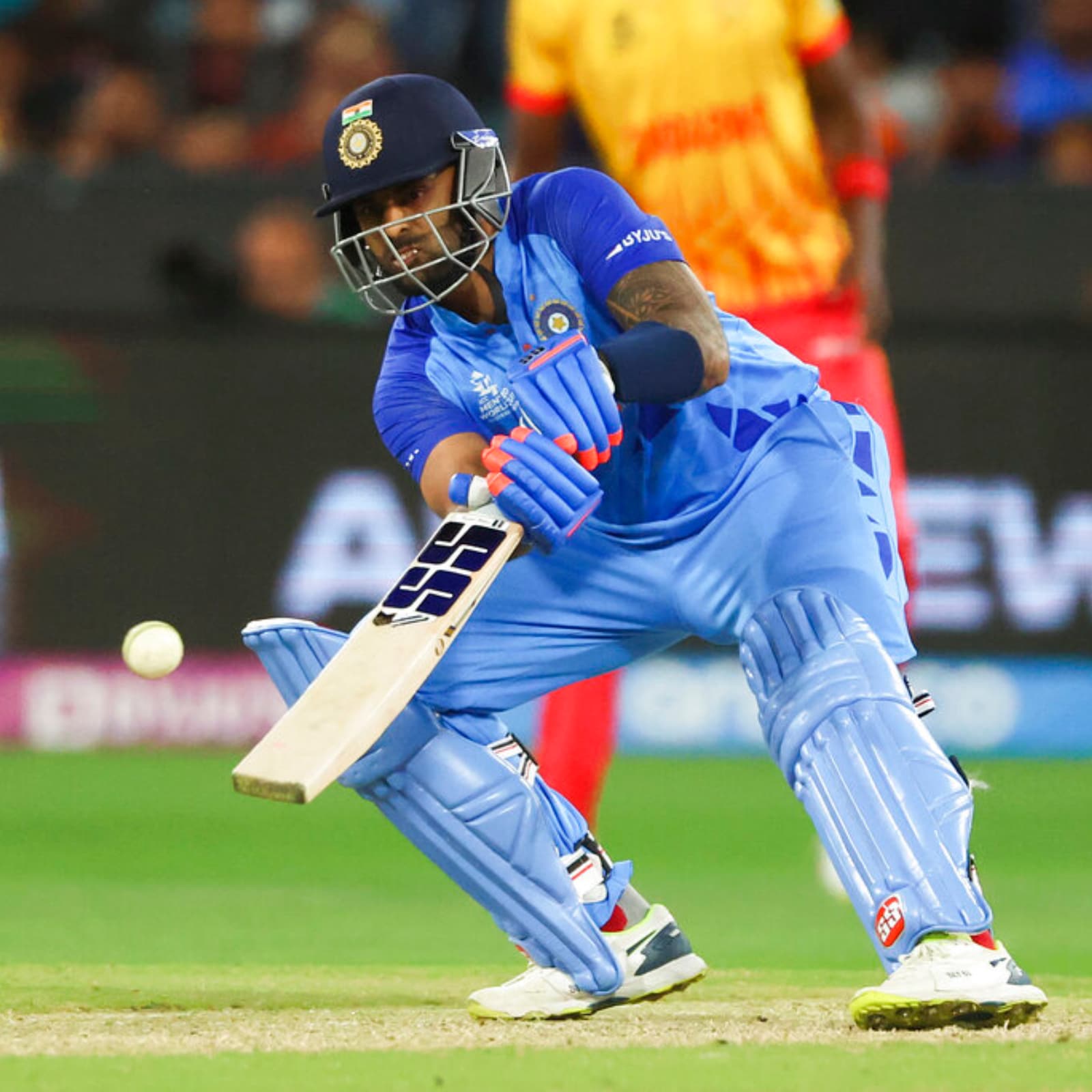 1600x1600 I Saw The Scorecard, Took Screenshot And Sent to Finch': Batting Superstar Says Suryakumar Yadav Making Everyone Else Look Worse