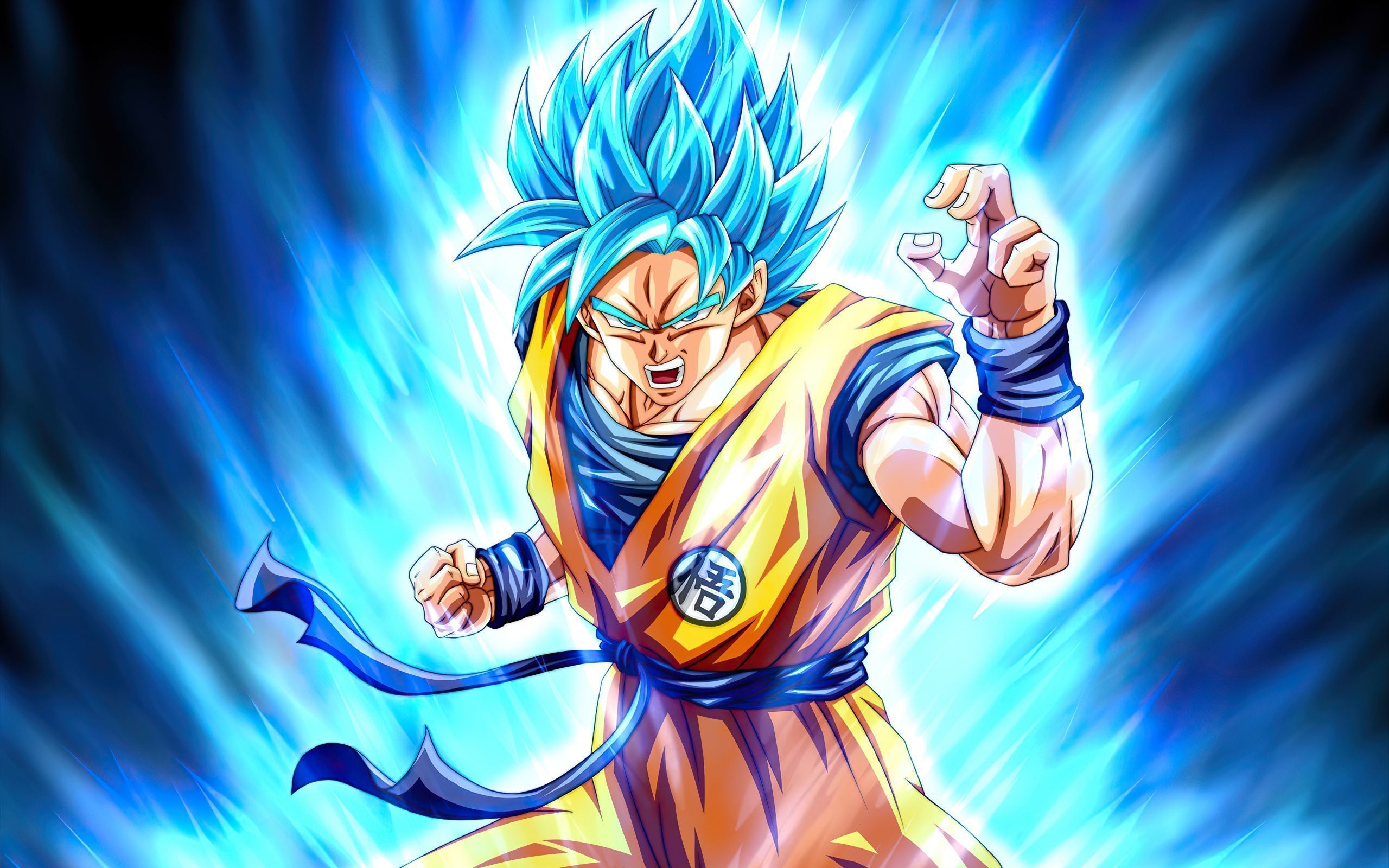 2560x1600 Wallpaper 4k Dragon Ball Son Goku Wallpaper