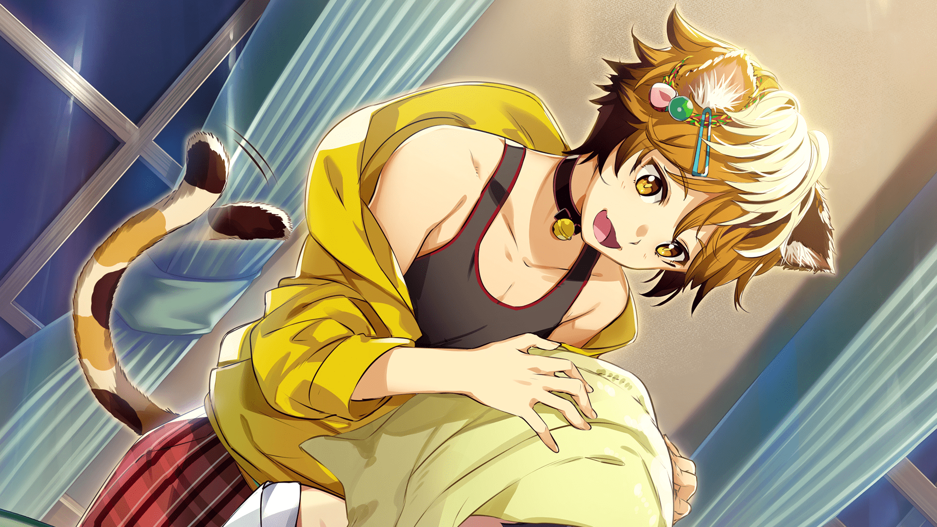 1920x1080 cat boy 1080P, 2k, 4k HD wallpaper, background free download
