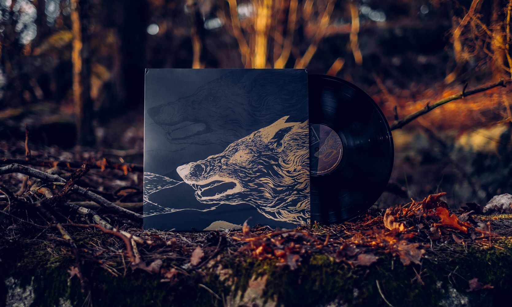 1669x1000 M.Hummel Gradén Lykaia Album Cover Brand Design Society
