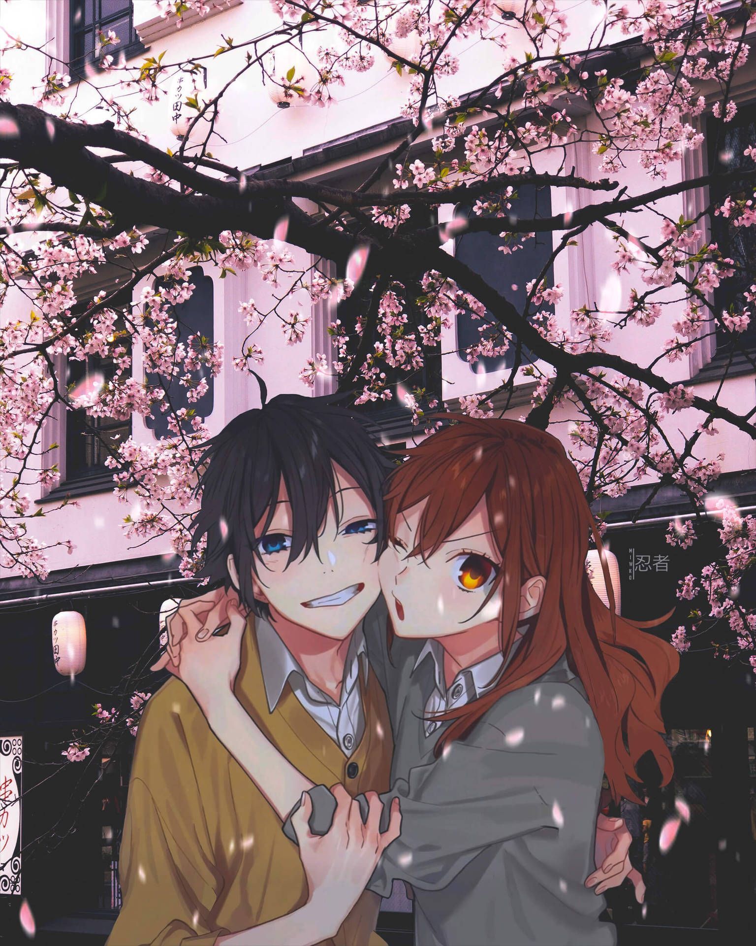 1536x1920 Cherry Blossoms Wallpaper