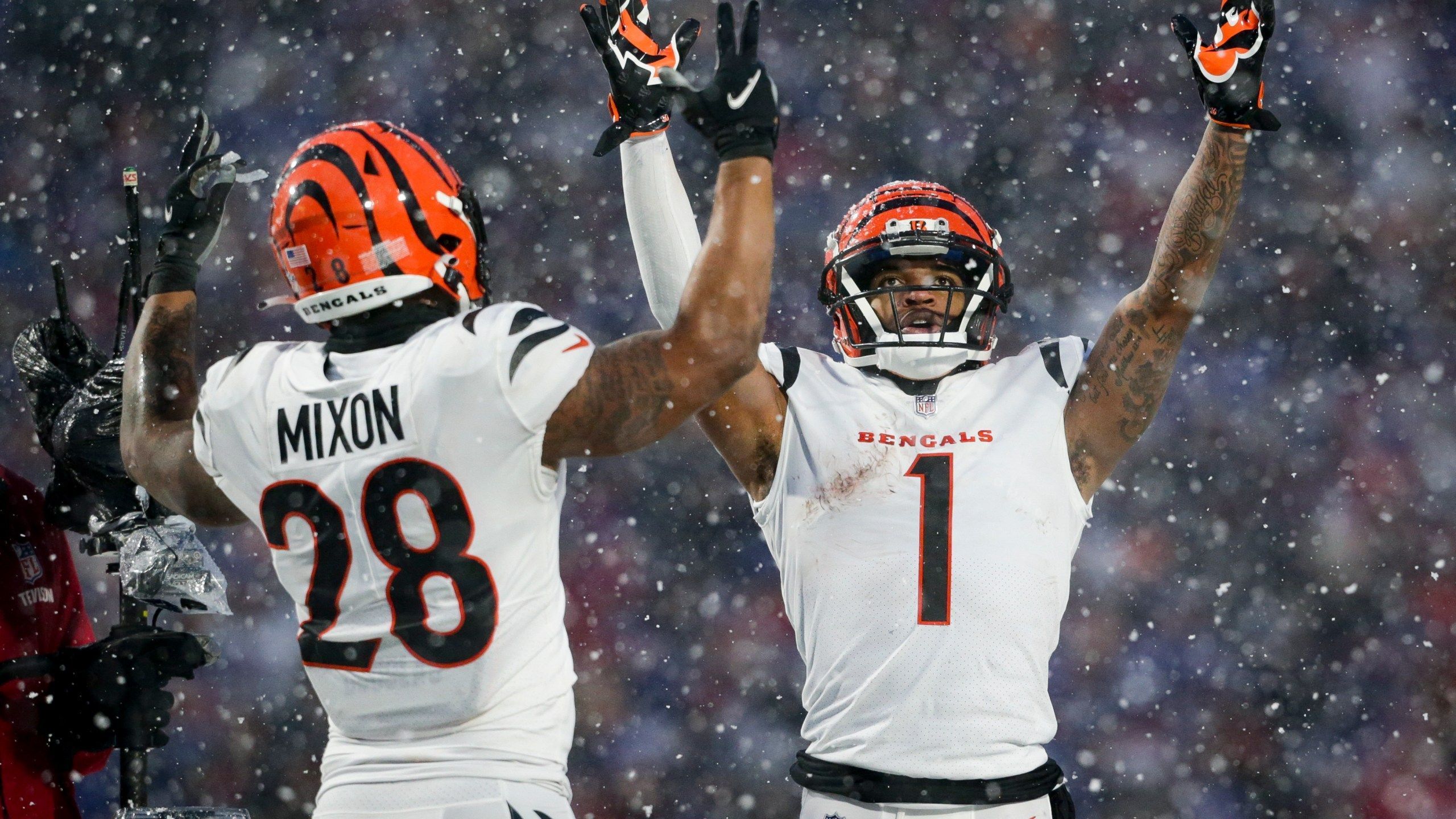 2560x1440 Bengals Return To AFC Championship With 27 10 Rout Of Bills
