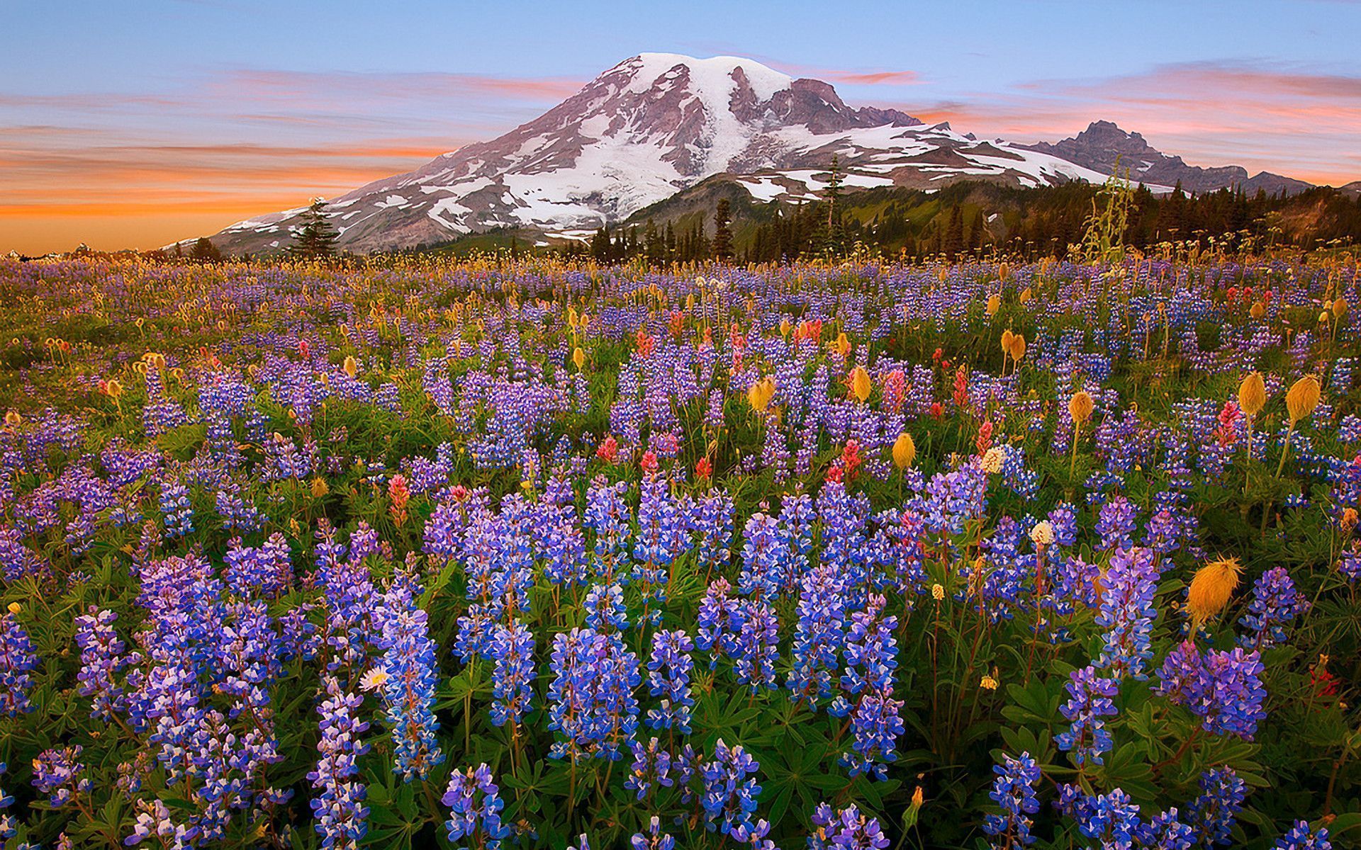 1920x1200 Spring In The Mountains Wallpaper