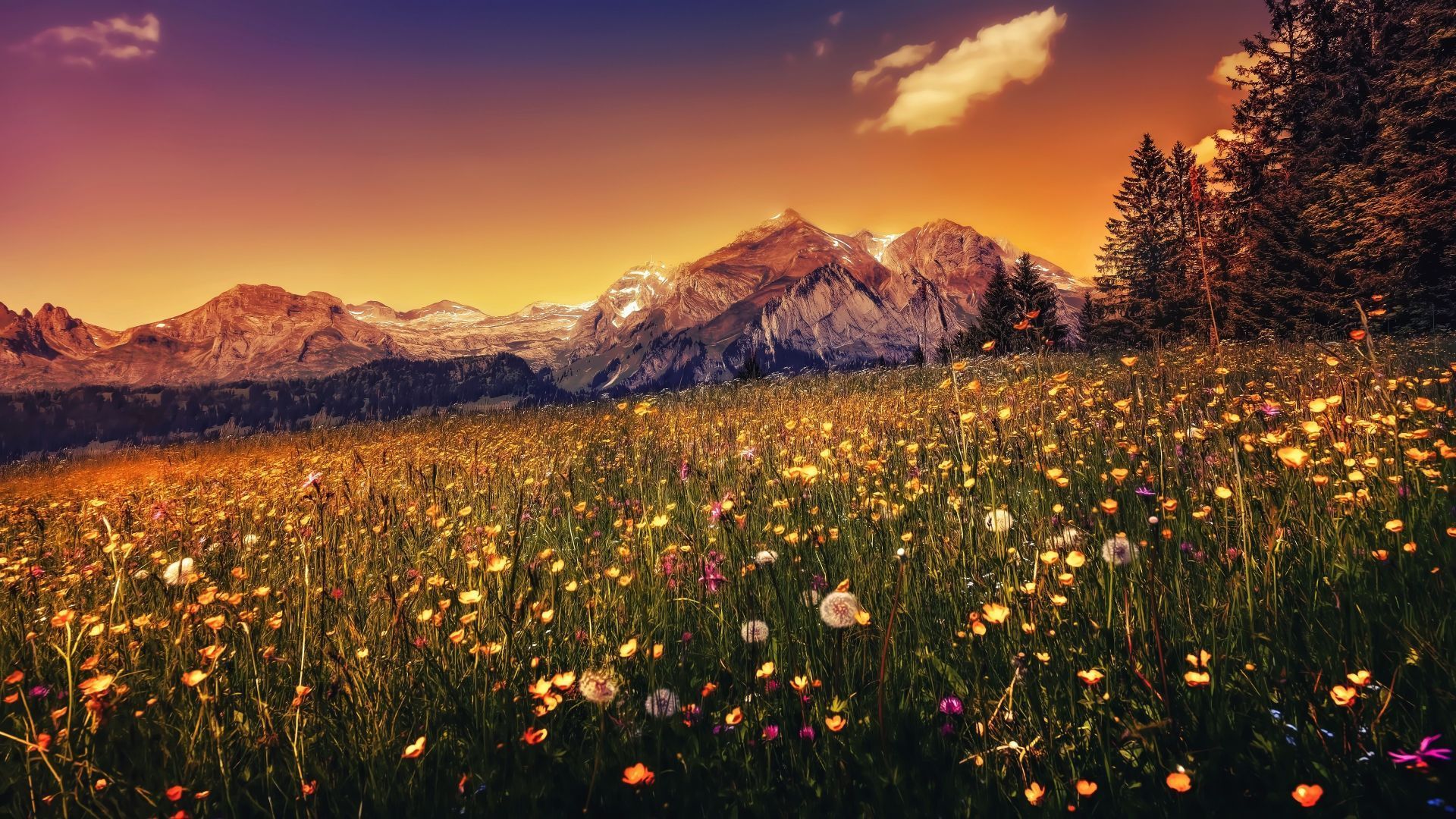 1920x1080 Desktop Wallpaper Landscape, Sunset, Plants, Mountains, 4k, HD Image, Picture, Background, 16eaad