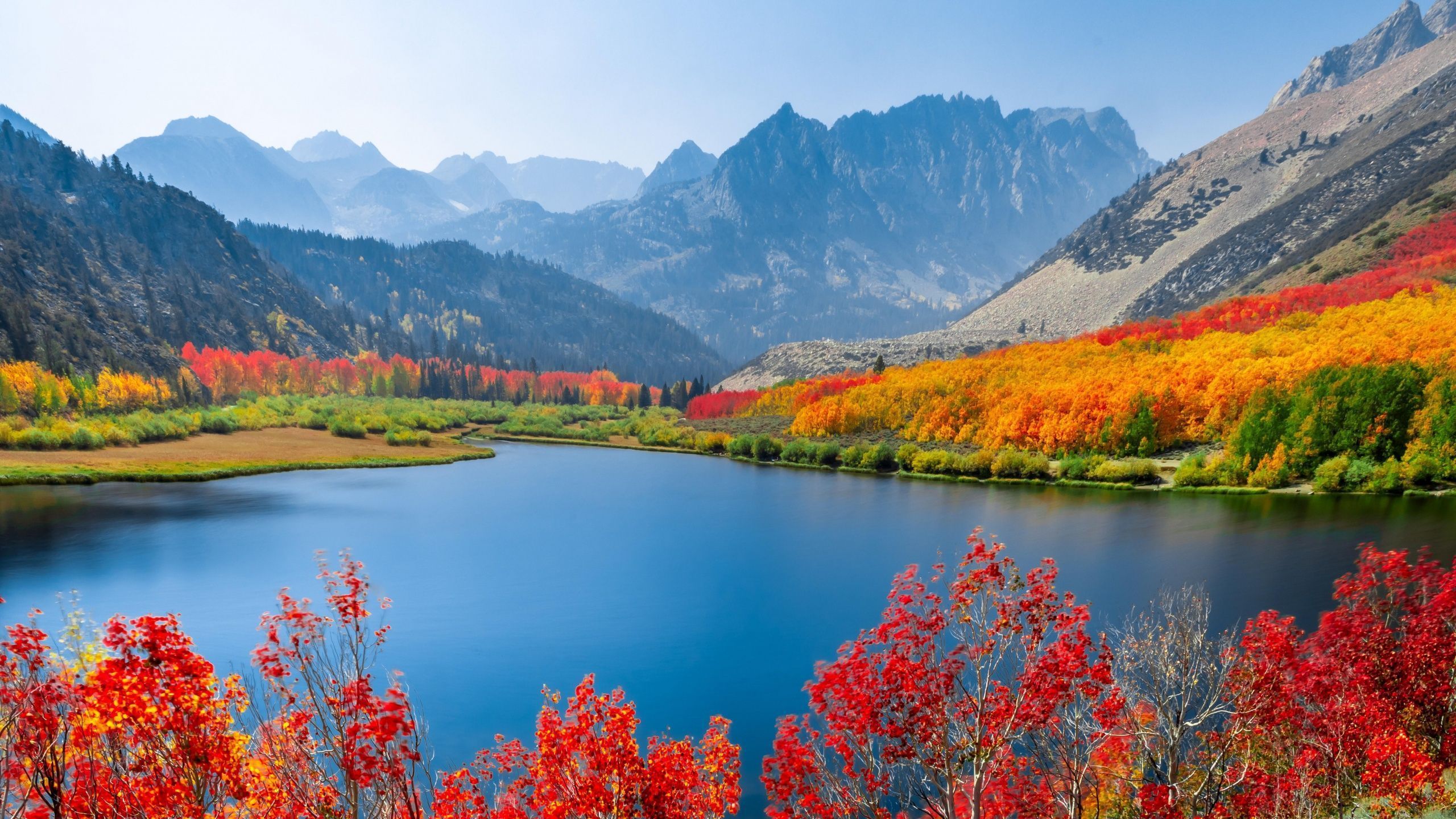 2560x1440 Autumn trees Wallpaper 4K, Lake, Mountain range, Daytime