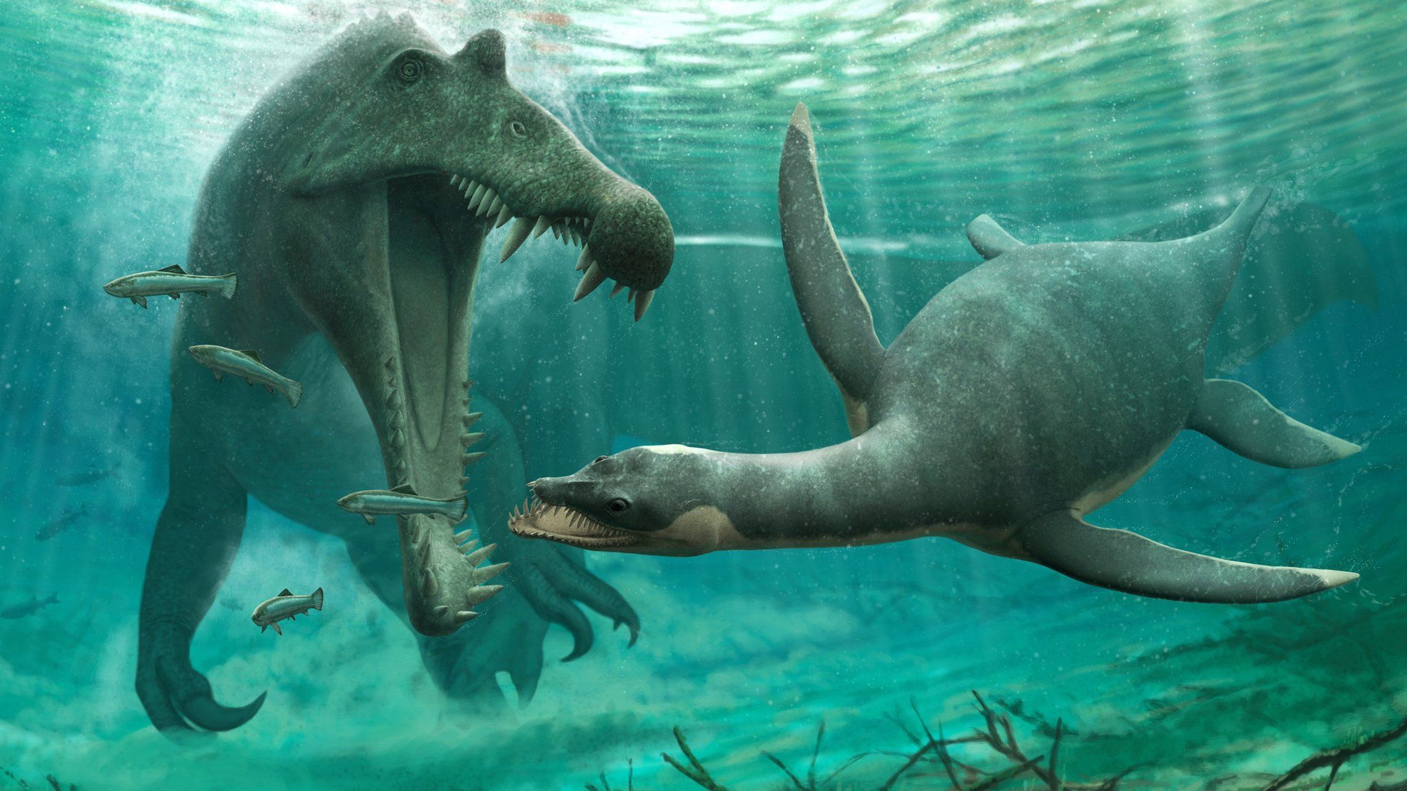 2048x1152 African fossils show 'monster' could have lived in Loch Ness