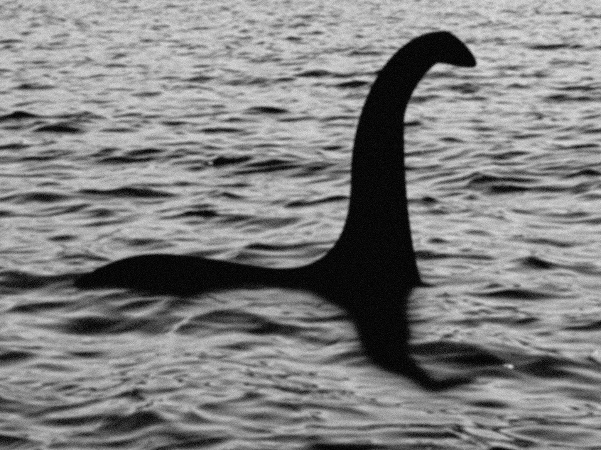 Loch Ness Monster Wallpapers - Top Free Loch Ness Monster Backgrounds ...