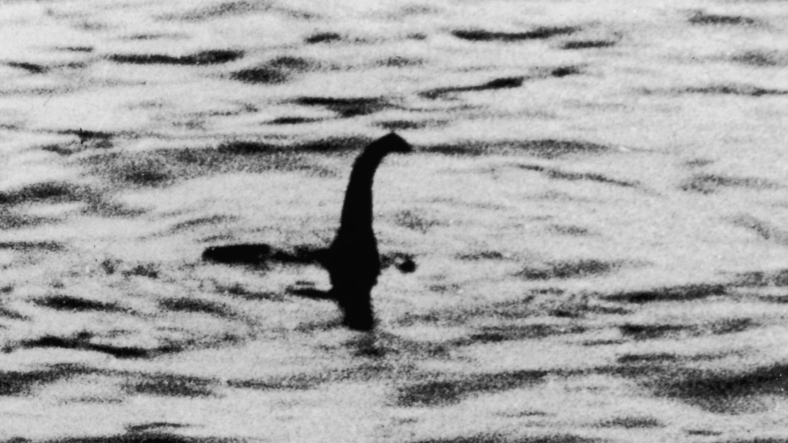 2560x1440 Monster hunters are conducting the largest search of Loch Ness in more than 50 years