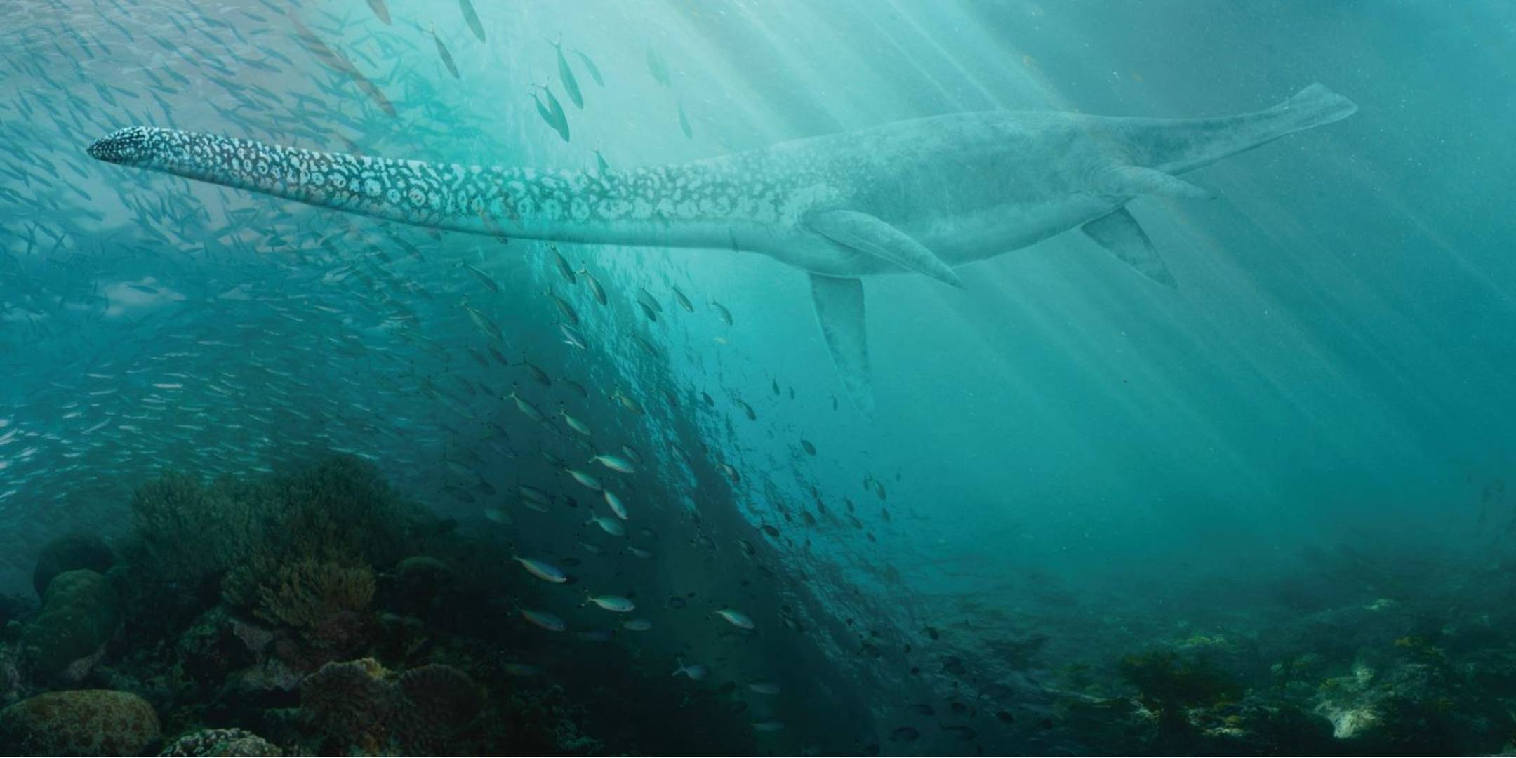 2160x1080 Underwater graphics: Designing Sea Monsters National Maritime Museum