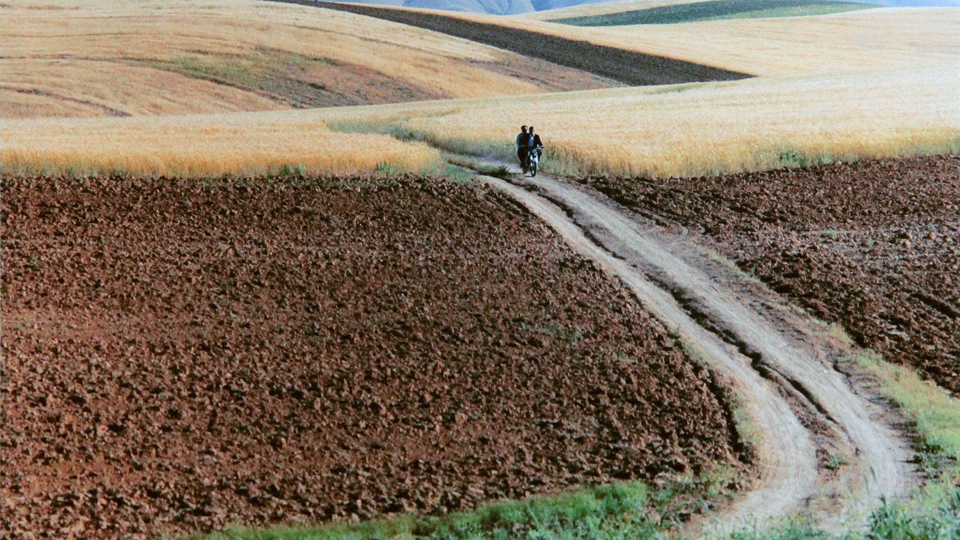 1920x1080 Abbas Kiarostami, the Photographer