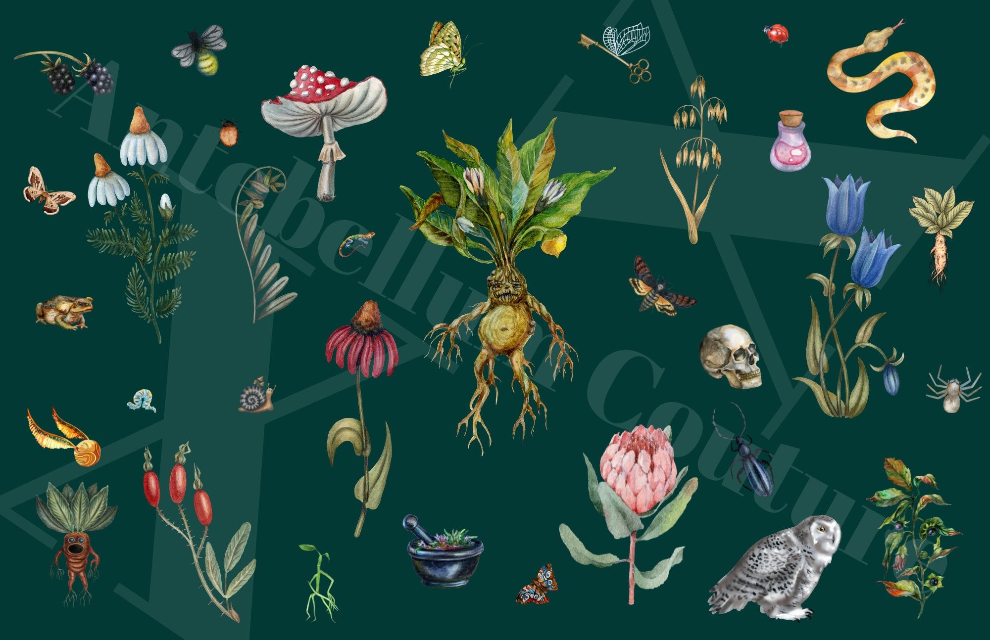 38 ideias de Wallpaper Mandrake!!