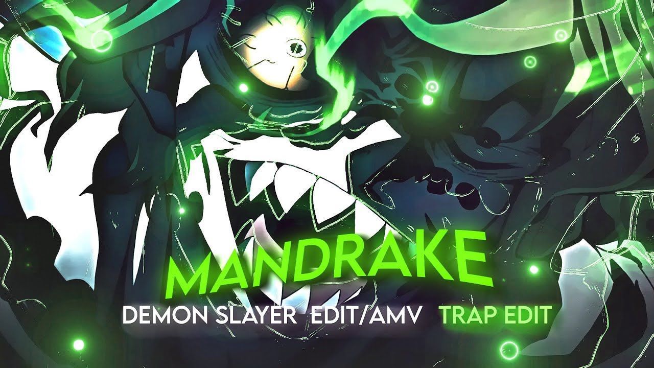 Mandrake Wallpapers - Top Free Mandrake Backgrounds - WallpaperAccess