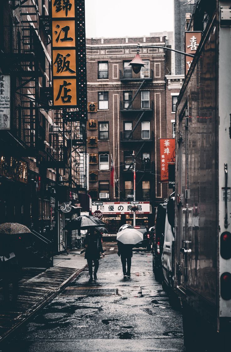 736x1119 chinatown walking street rain wet urban alley buildings architecture people umbrella signs market chinese asia tourism travel c. City aesthetic, Street, Chinatown