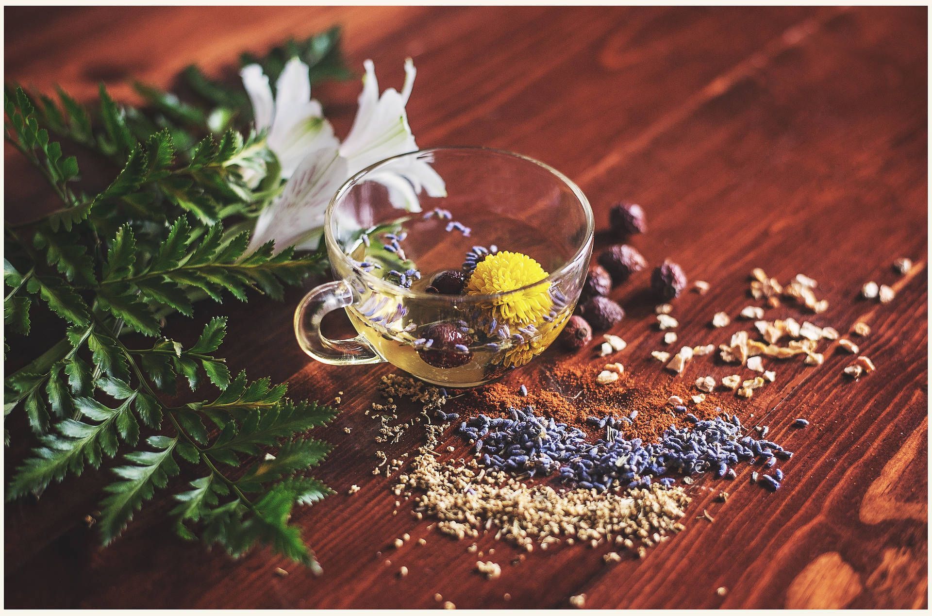 1920x1269 Download Holistic Herbal Tea Wallpaper