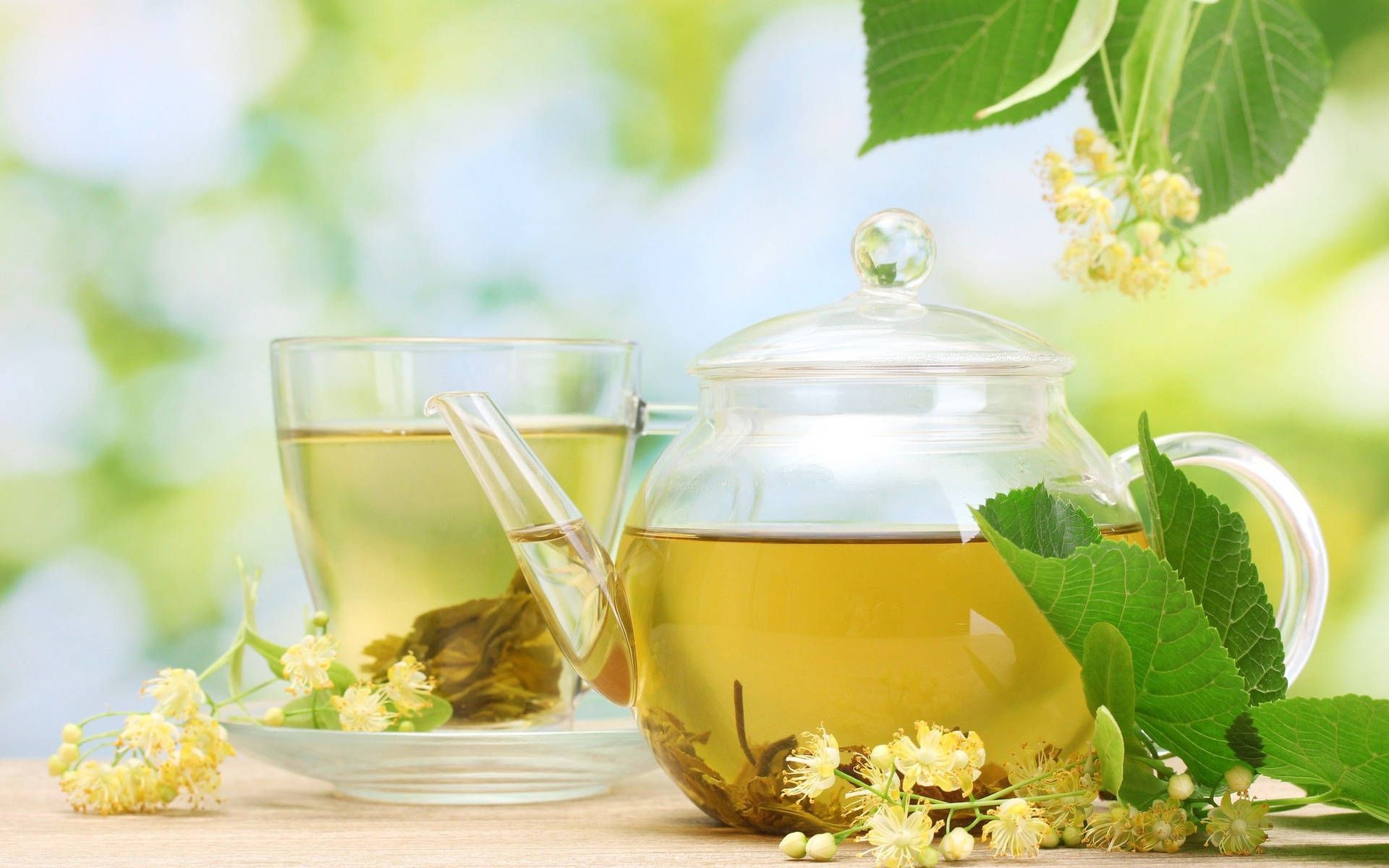 1920x1200 Download A Cup of Health Herbal Tea Wallpaper