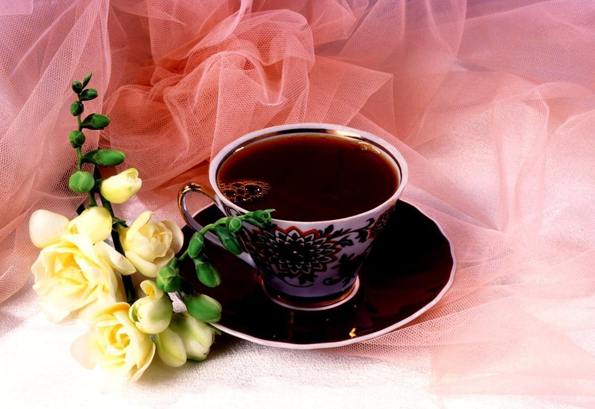 1200x825 Background image Still Life, Cup, Chinese Herb Tea. FREE Download image
