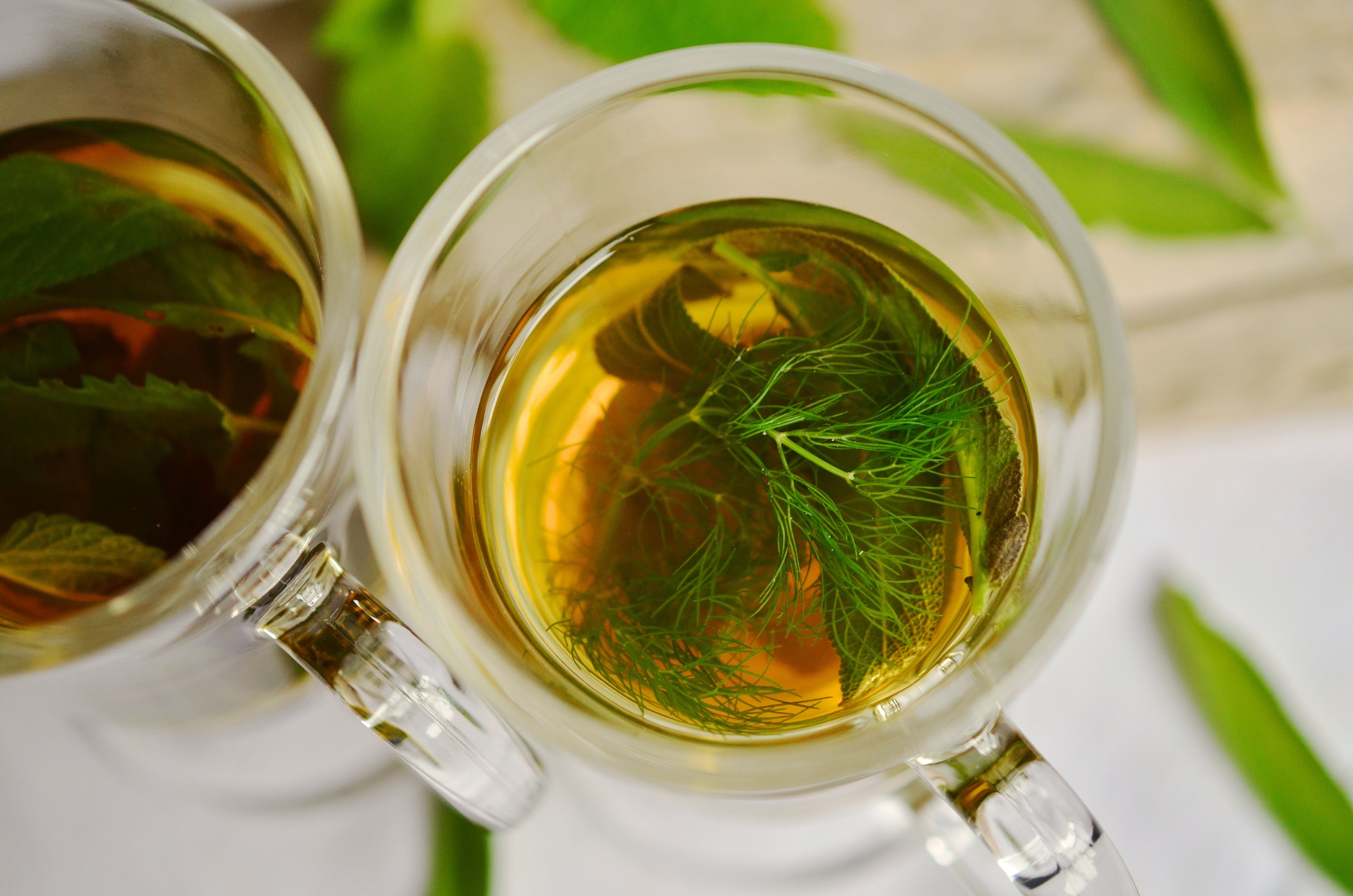 4928x3264 Wallpaper / alcohol, nature, medicinal herbs, directly above, tea cup, herb, household equipment, glass, filled, tea Drink, herbs, green Color, teegläser, no people free download