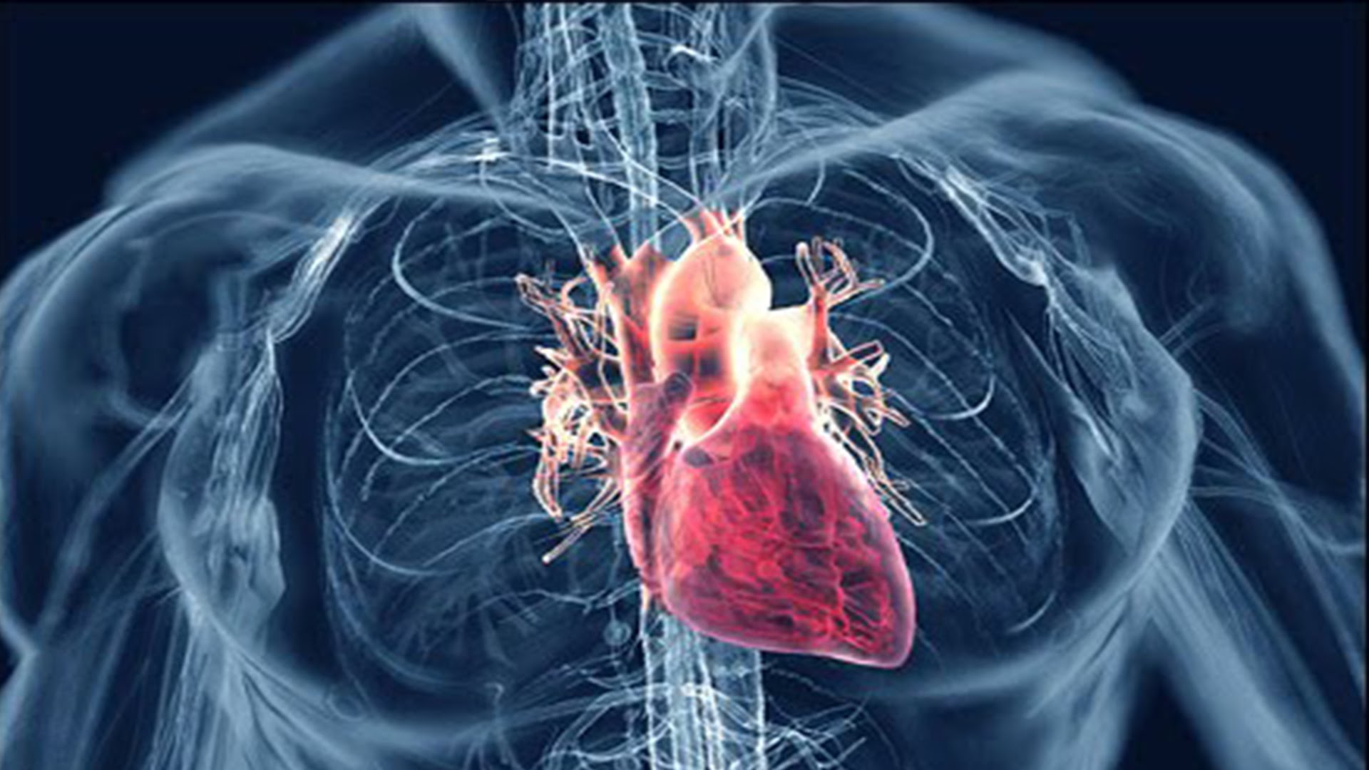 1920x1080 Heart Disease Wallpaper