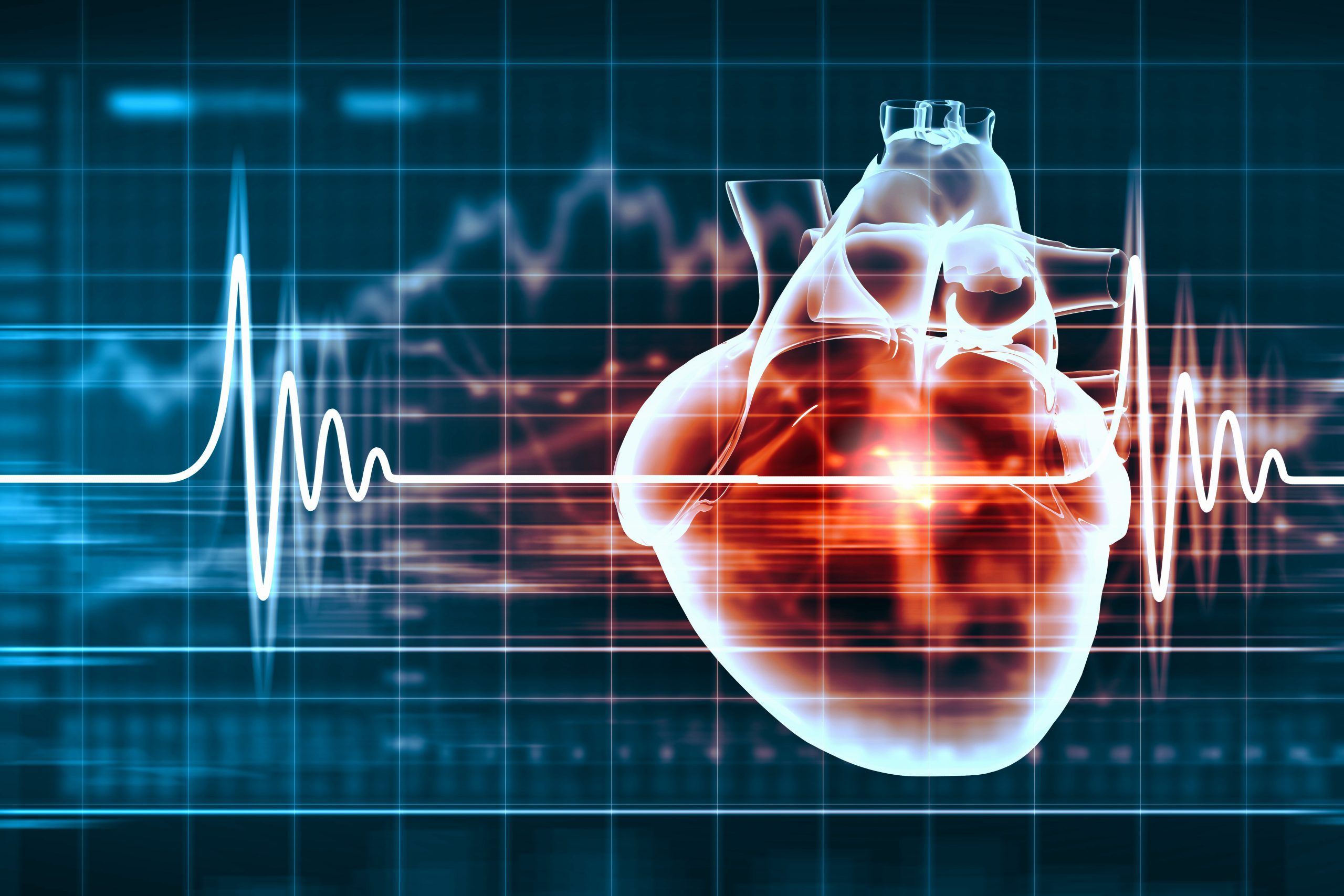 2560x1707 Deleting a Protein in Mice Prevents Cardiovascular Disease