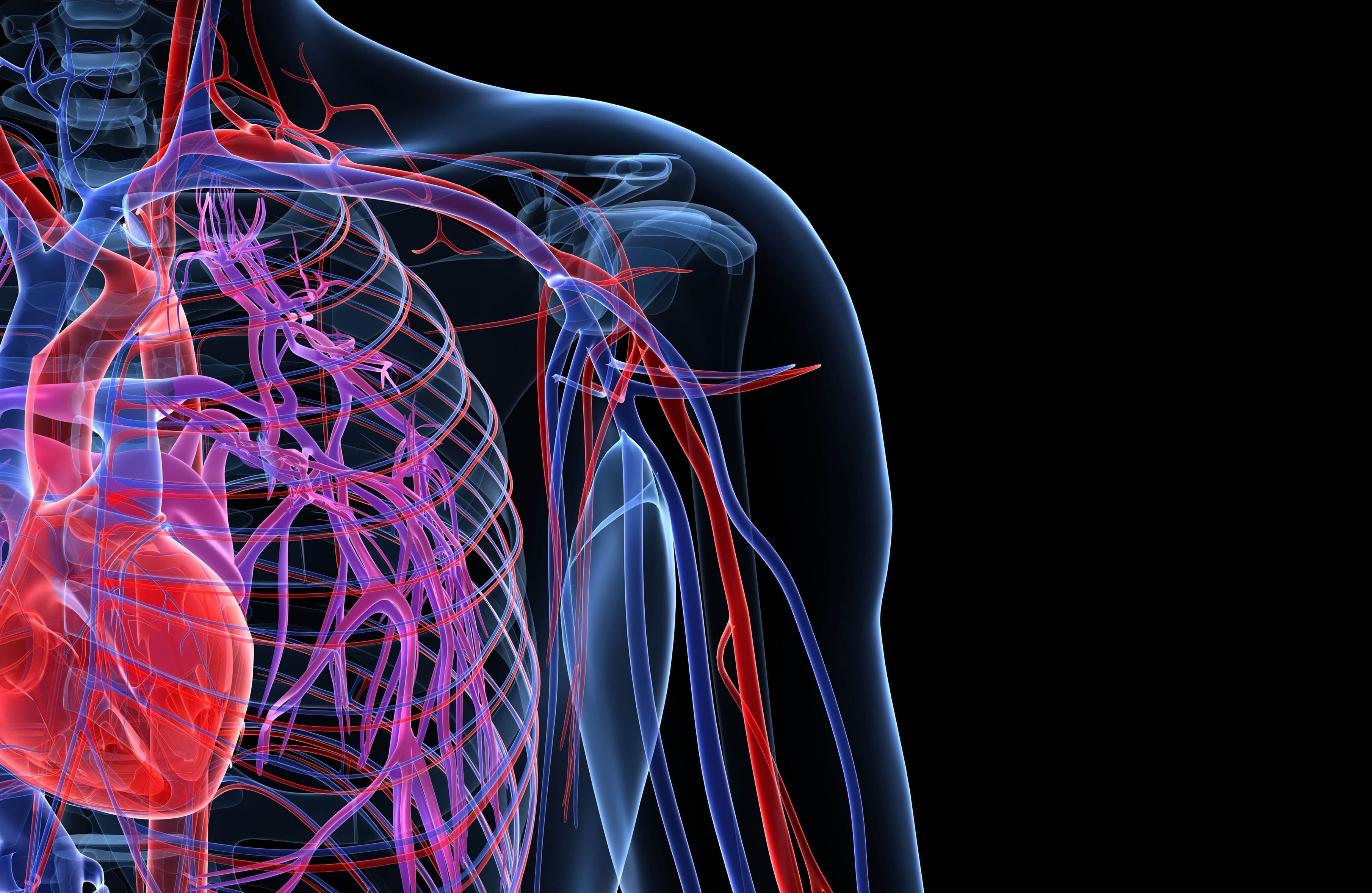 3620x2357 New Service Helps Patients Reduce Risk of Heart Attack, Stroke and Vascular Disease