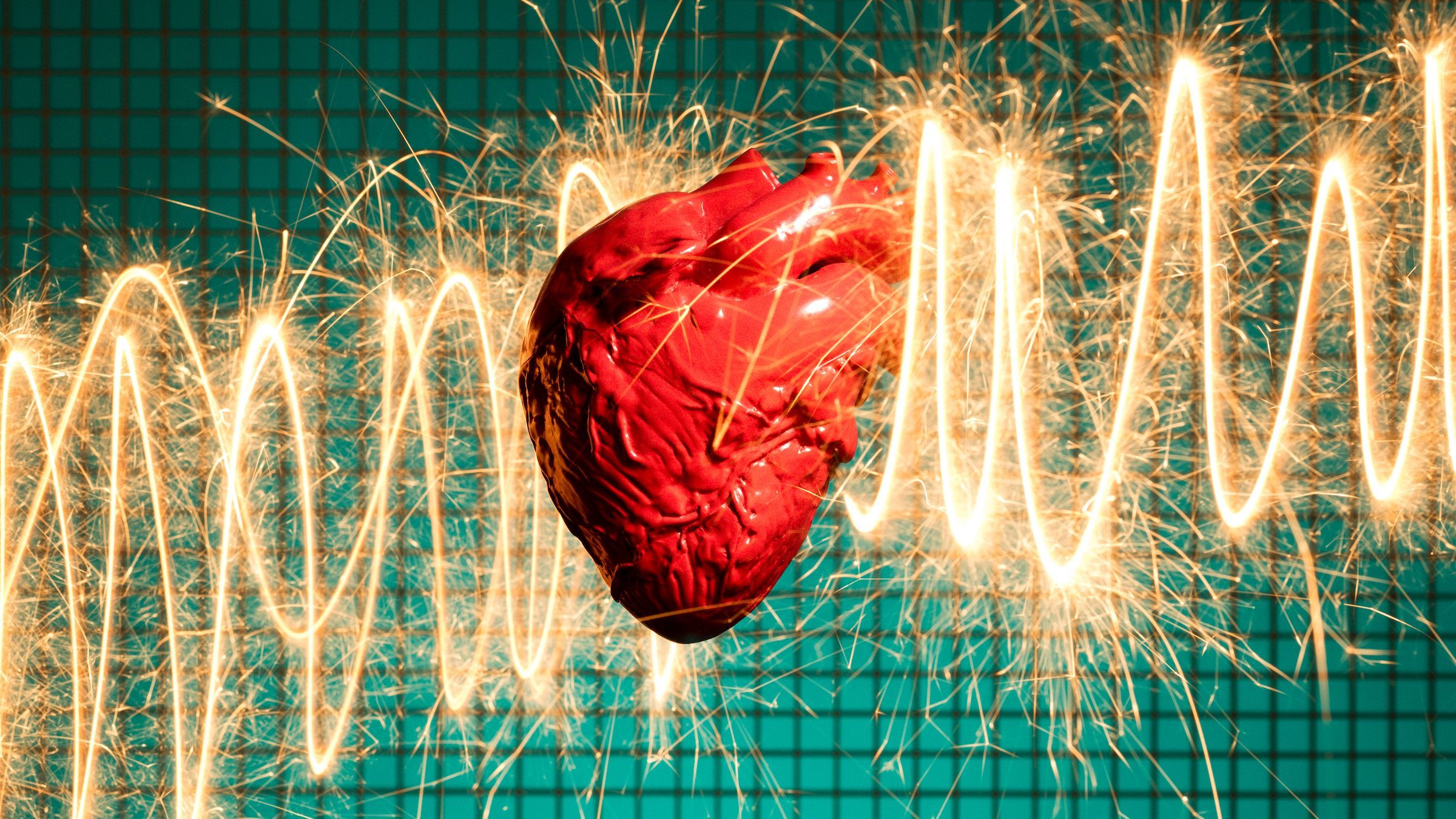 2400x1350 Do other animals get heart attacks?