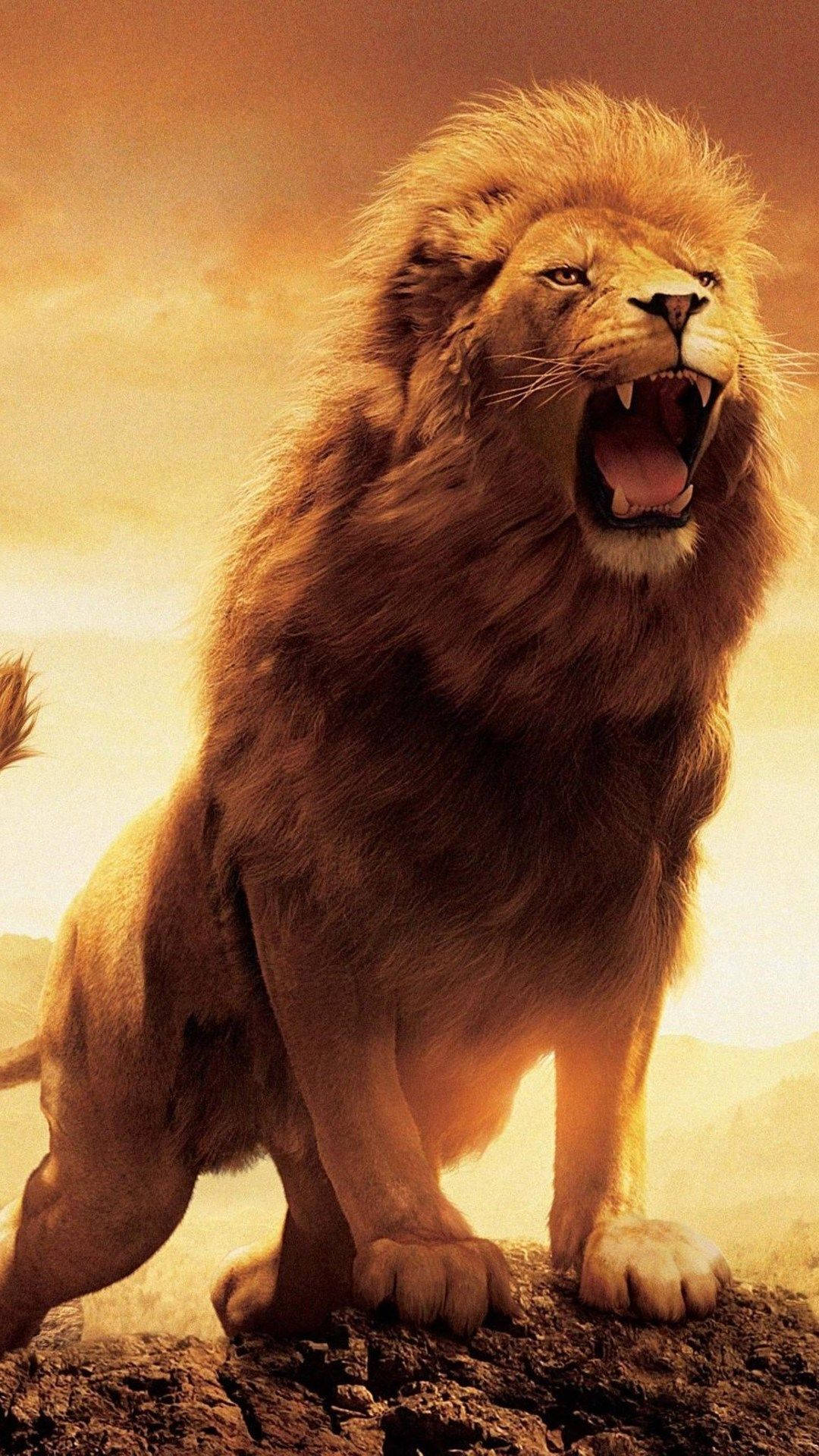 1080x1920 Download Roaring Wild Lion iPhone Wallpaper
