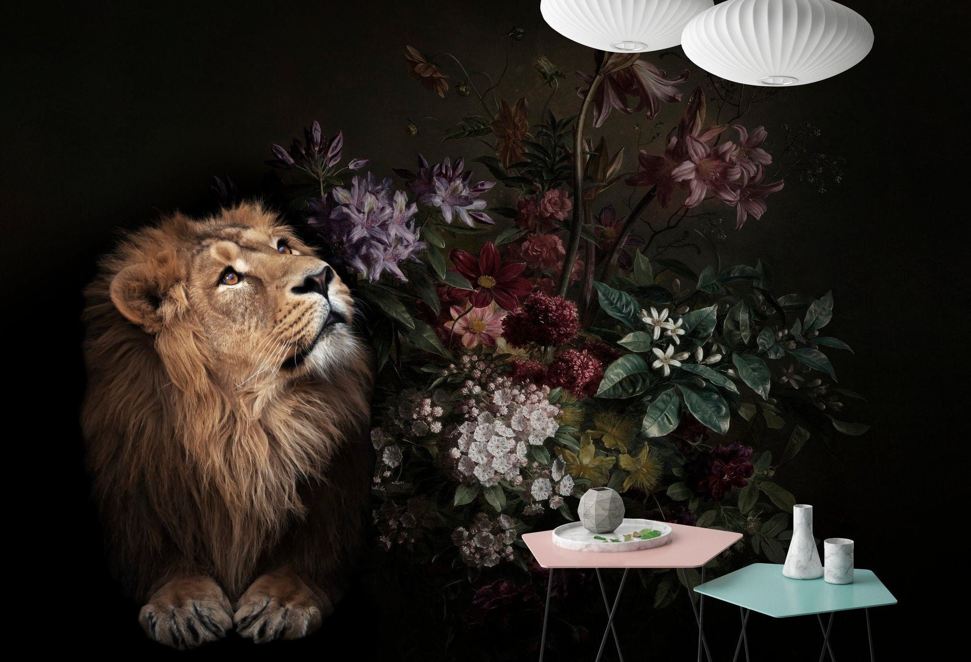 2000x1364 Lion Wallpaper Black Orange Green Wild Life 2 Dining Room